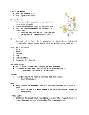 Know Neuron thumbnail
