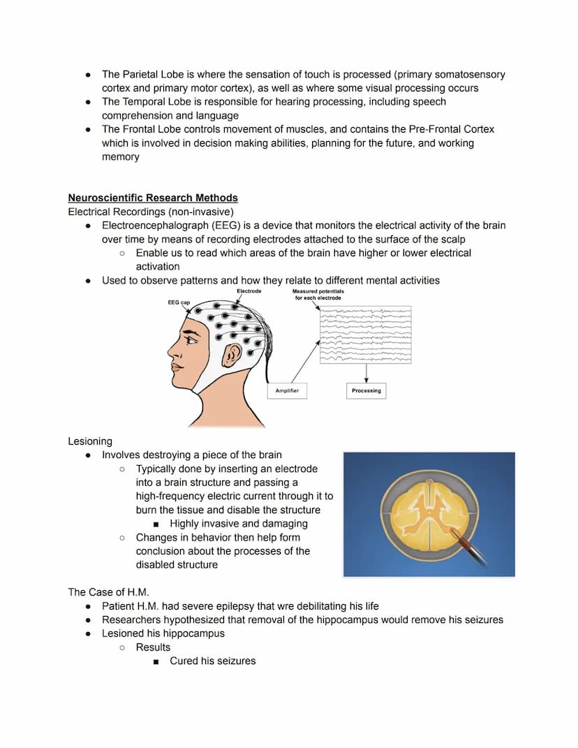 Parts of the Neuron
Brain - the biological basis
● Mind - cognitive and mental
Nervous System
●
●
The nervous system is composed of two majo