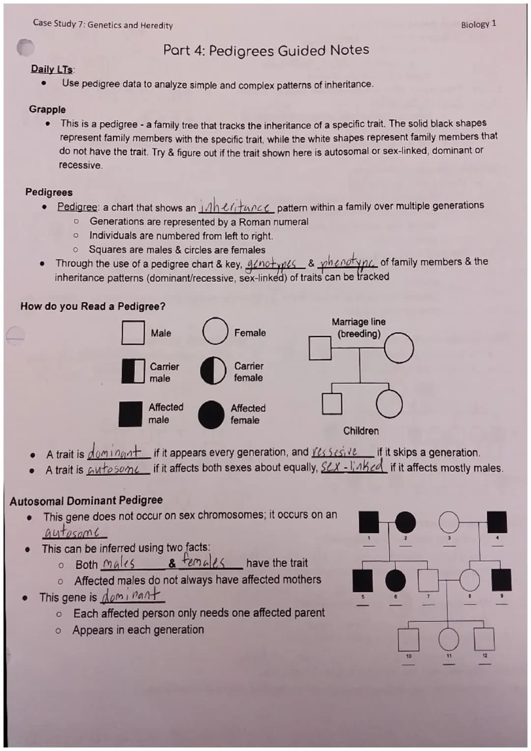 Case Study 7: Genetics and Heredity
Daily LTS:
Use pedigree data to analyze simple and complex patterns of inheritance.
Pedigrees
Part 4: Pe