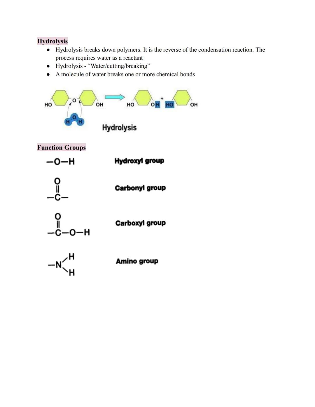 # Carbon Compounds

• Carbon has 4 electrons in its outermost energy level. Therefore, it can form 4 covalent
bonds with other elements incl
