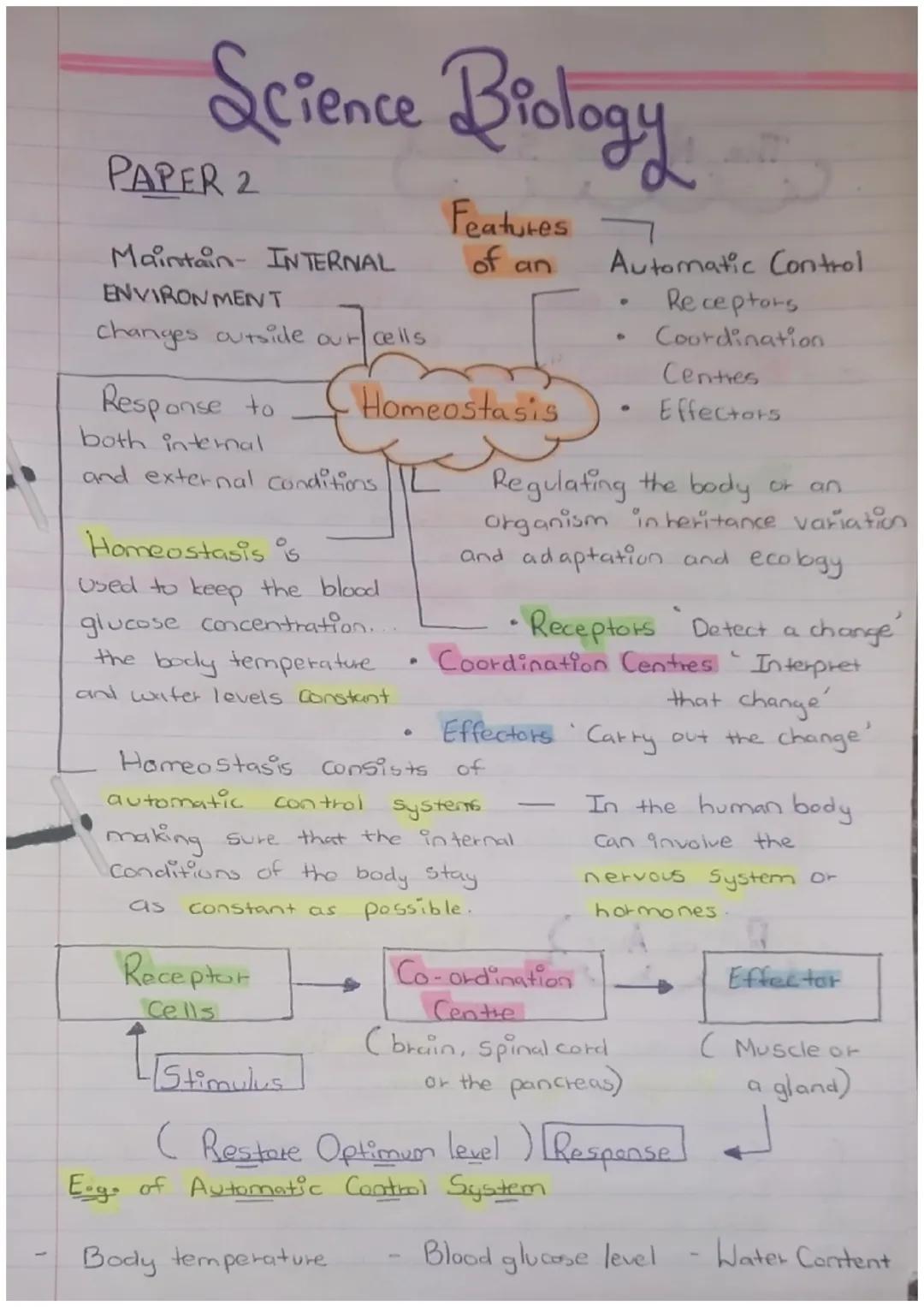Science Biology
PAPER 2
Maintain- INTERNAL
ENVIRONMENT
changes outside our cells
Response to
both internal
and external conditions L
Homeost