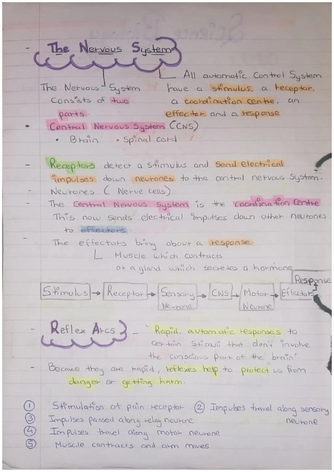 Science Biology
PAPER 2
Maintain- INTERNAL
ENVIRONMENT
changes outside our cells
Response to
both internal
and external conditions L
Homeost