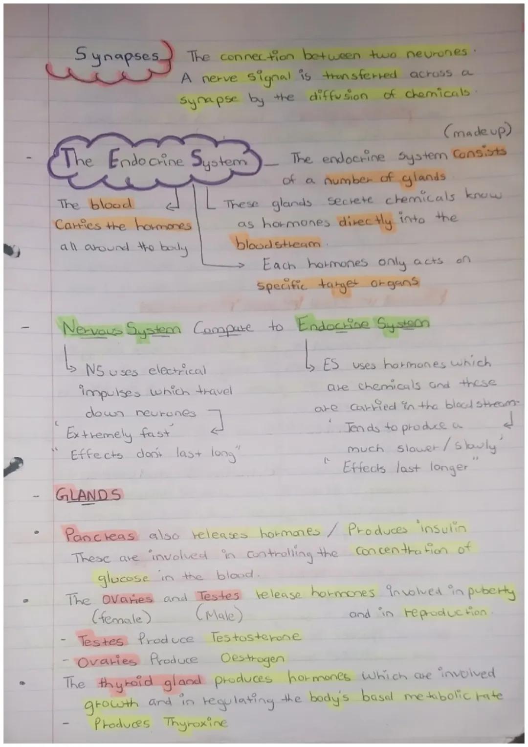 Science Biology
PAPER 2
Maintain- INTERNAL
ENVIRONMENT
changes outside our cells
Response to
both internal
and external conditions L
Homeost