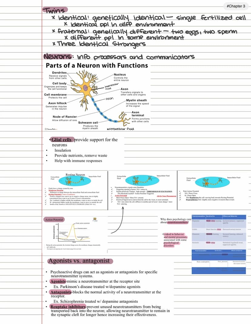 Chp 1
Introduction to Psychology
psychology: refers to the scientific study of the
mind and behaviors
* psychologists use the scientific met