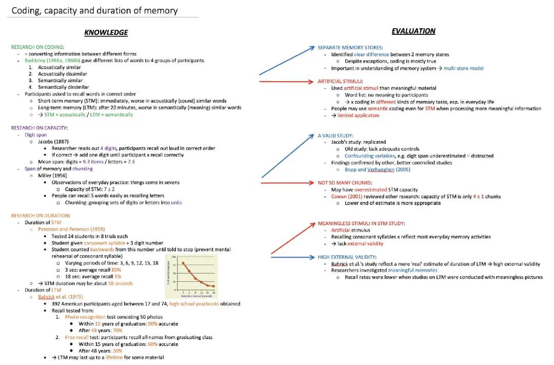 Memory Duration and Capacity Study: Exploring Long-Term and Short-Term Memory