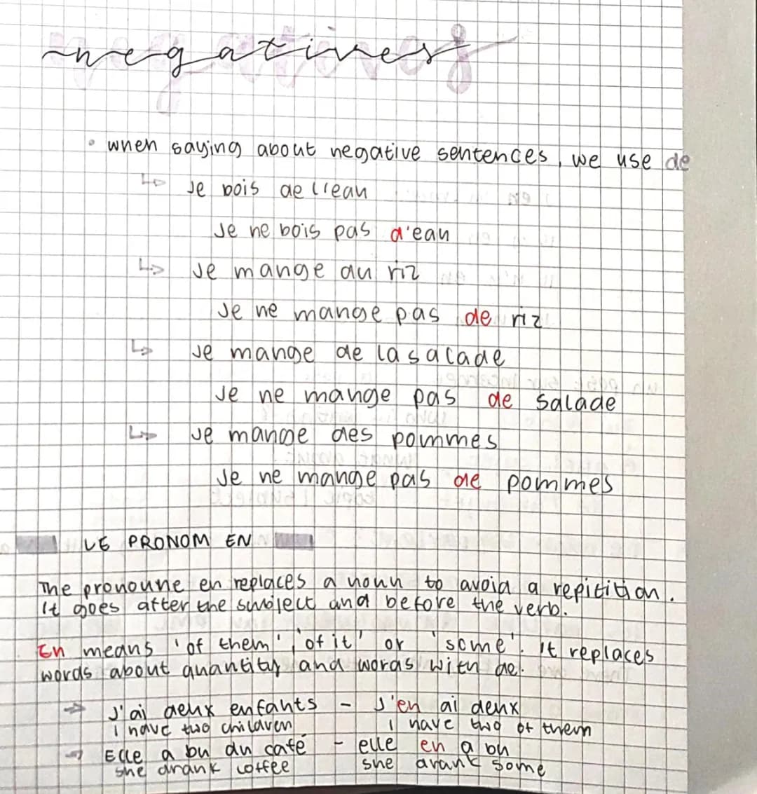 Easy Guide to Using 'En' in French Sentences & Negative Phrases PDF