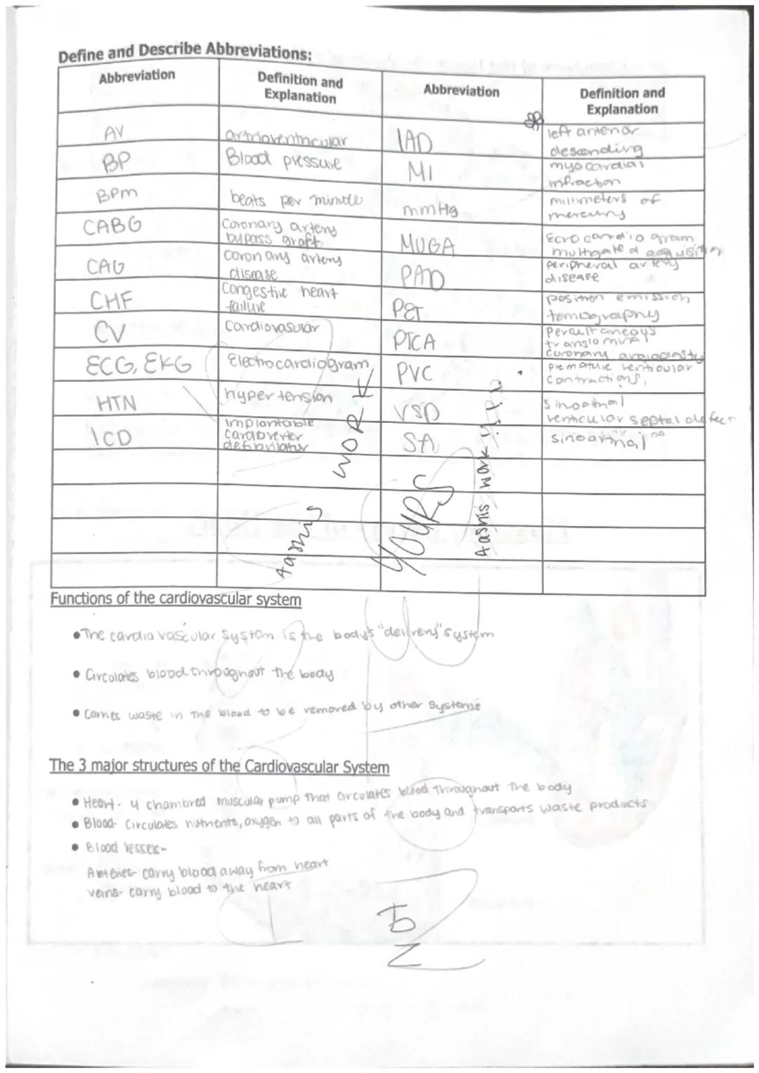 int
Unit 0> WPA- TOP - wit - 0-WPA
Starts implose
where the SA is located
- creats connection8
also starts the process
Right pulmonary
arter