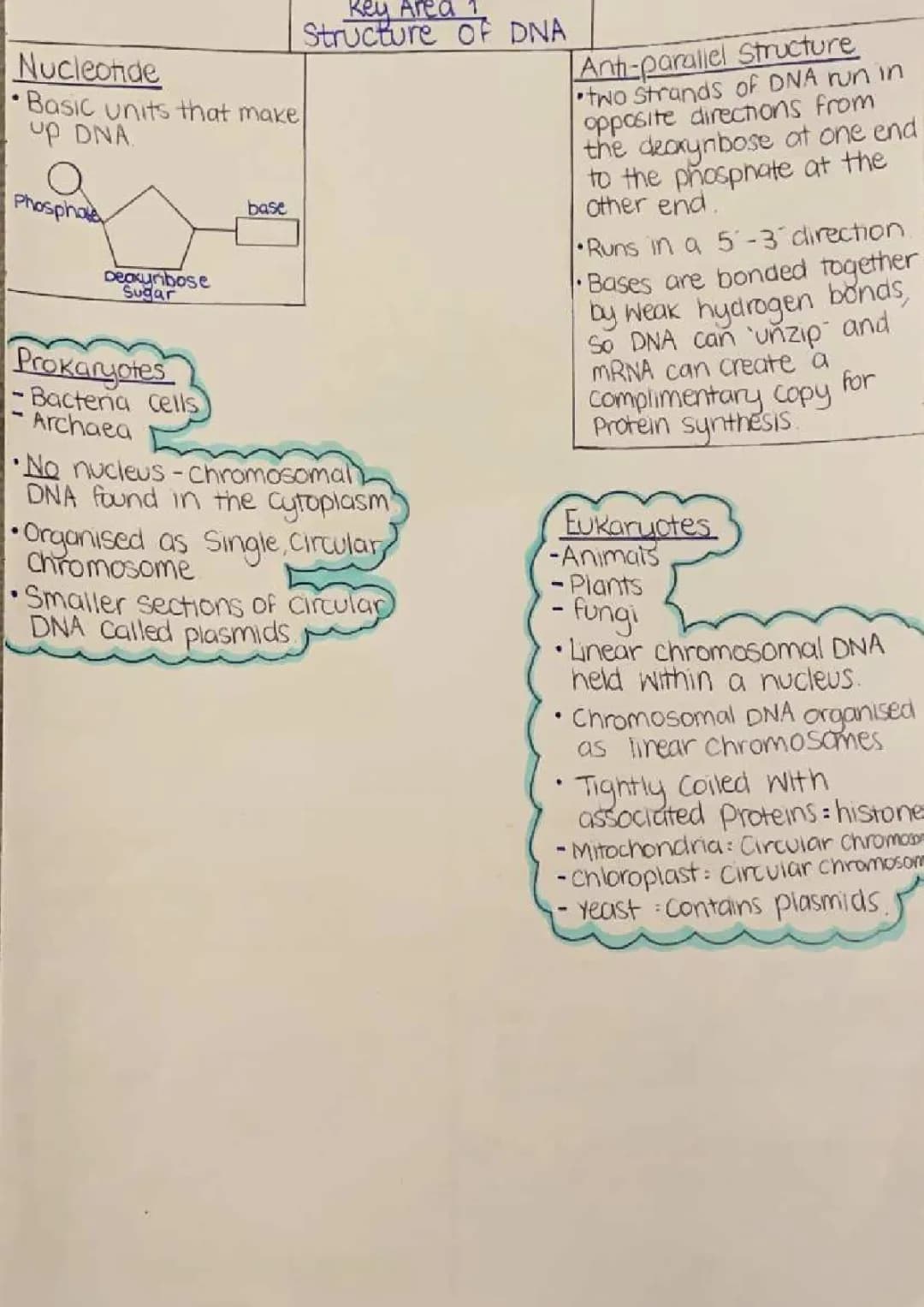 Higher Biology Unit 1 - DNA and the Genome