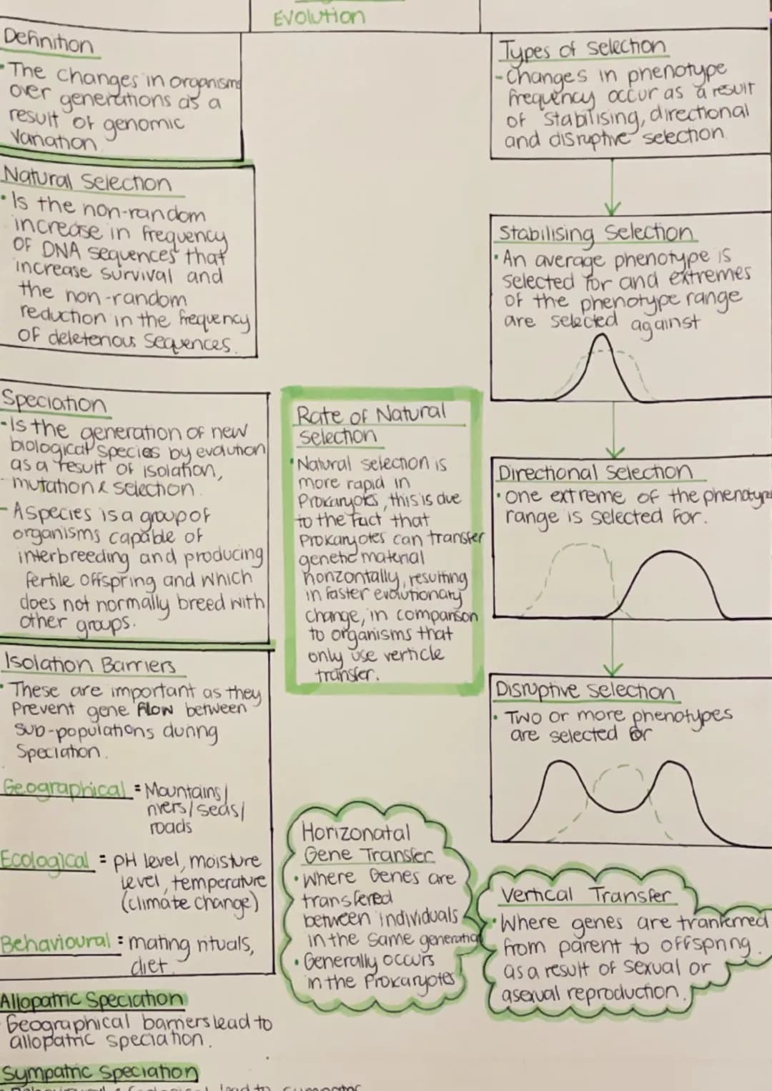 Nucleotide
Basic units that make
up DNA.
Phosphate
Deoxyribose
Sugar
Prokaryotes
- Bacteria Cells
Archaea
base
Key Area 1
Structure of DNA
N