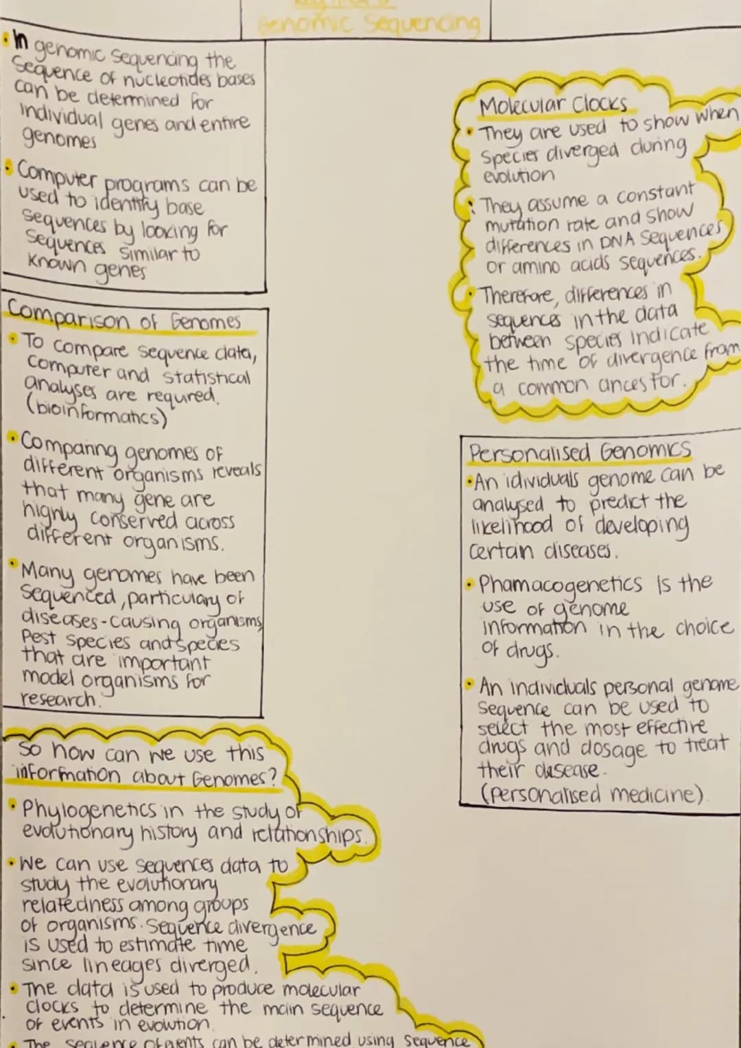 Nucleotide
Basic units that make
up DNA.
Phosphate
Deoxyribose
Sugar
Prokaryotes
- Bacteria Cells
Archaea
base
Key Area 1
Structure of DNA
N