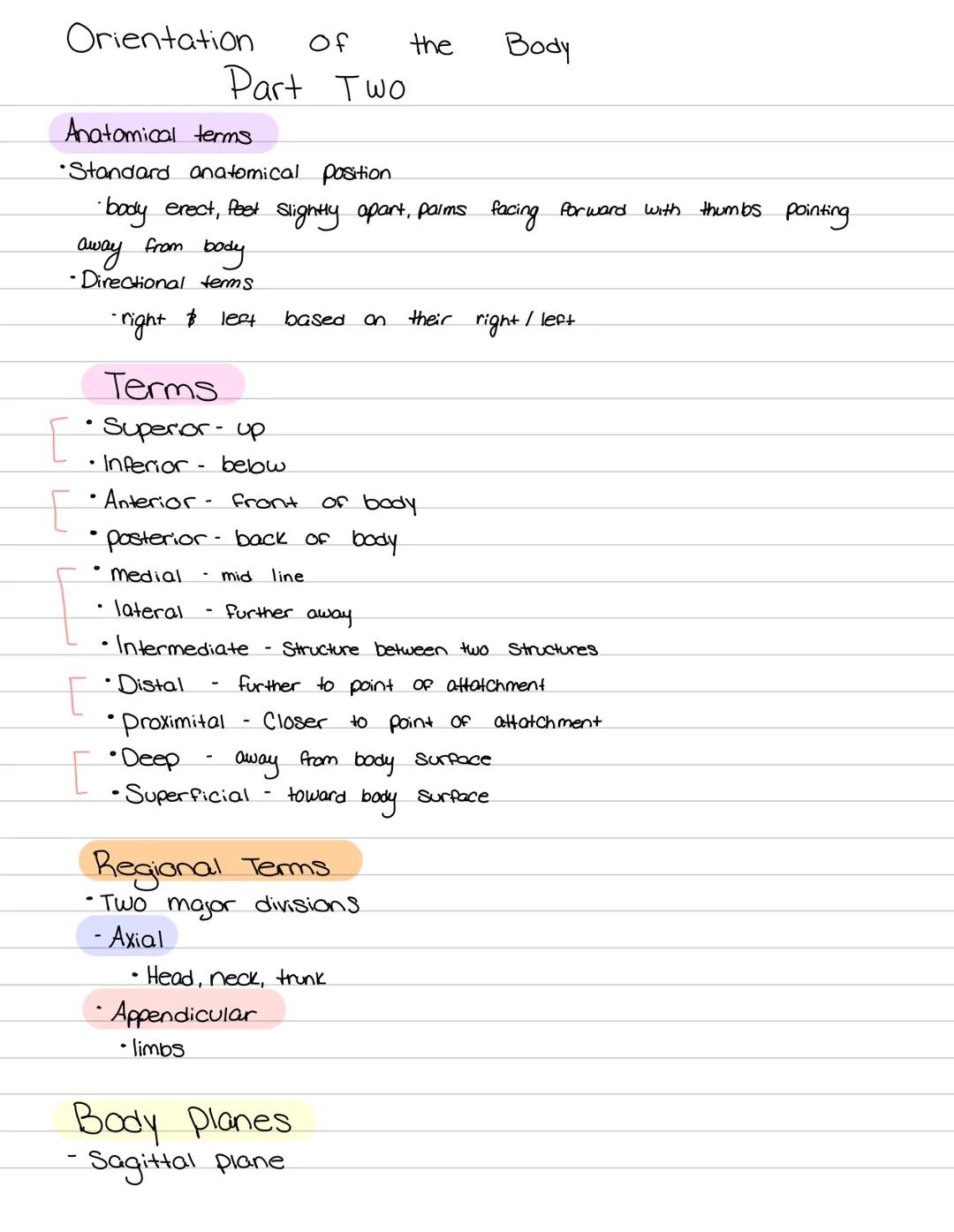 Orientation of
the human body Muscular System.
functions:
Body movement.
0
• maintains posture.
produces heat
nervous System
Functions:
• De