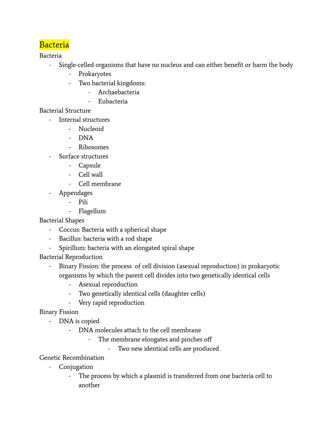 Types of Bacteria and Their Impact