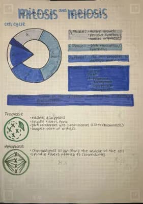 Know Mitosis and Meiosis thumbnail