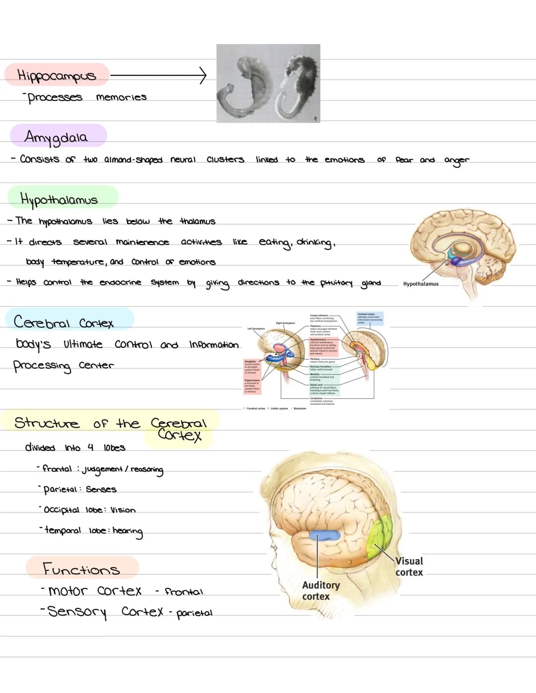 Psychology
Mid-term feel.
is Psychology?
What
the study of how we behave, how
↓
Steps:
1. Description
2. explanation - Why is
3.can we predi
