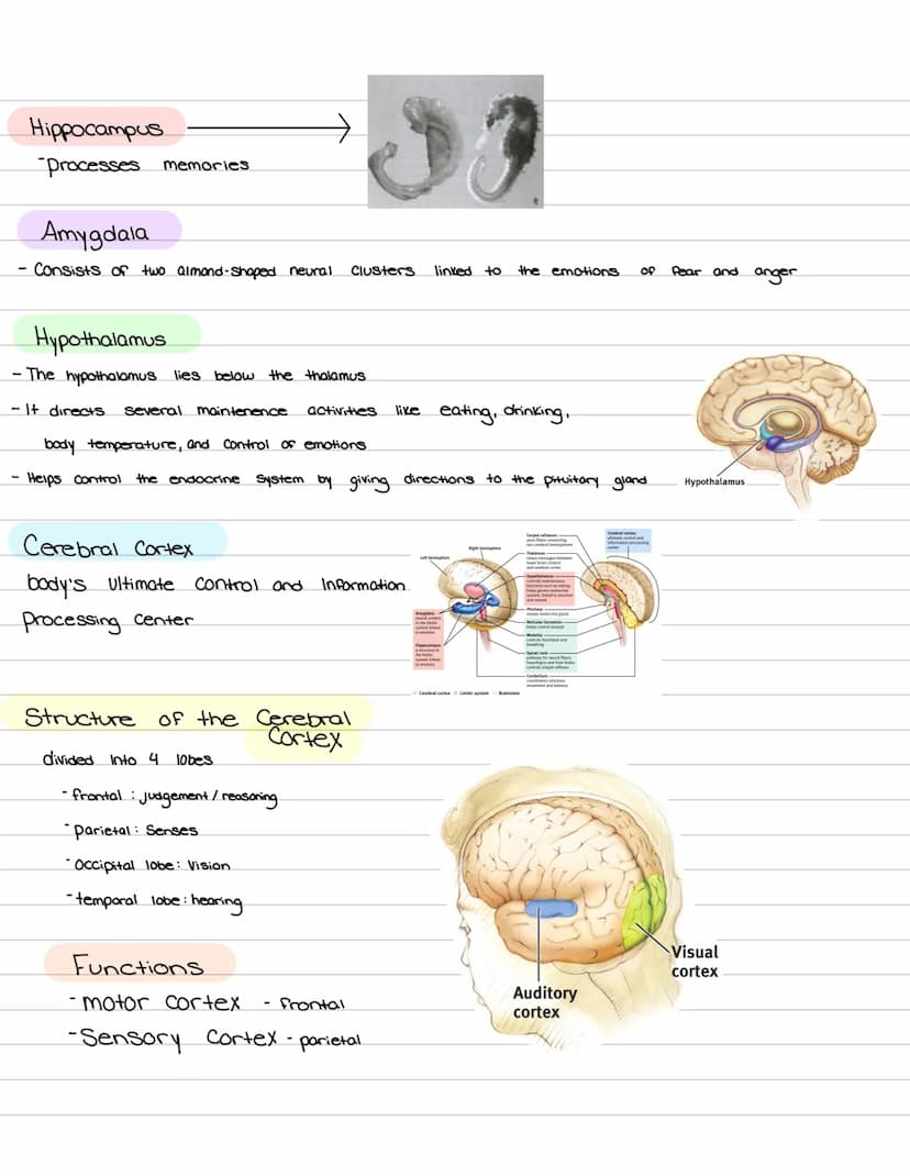 Psychology
Mid-term feel.
is Psychology?
What
the study of how we behave, how
↓
Steps:
1. Description
2. explanation - Why is
3.can we predi