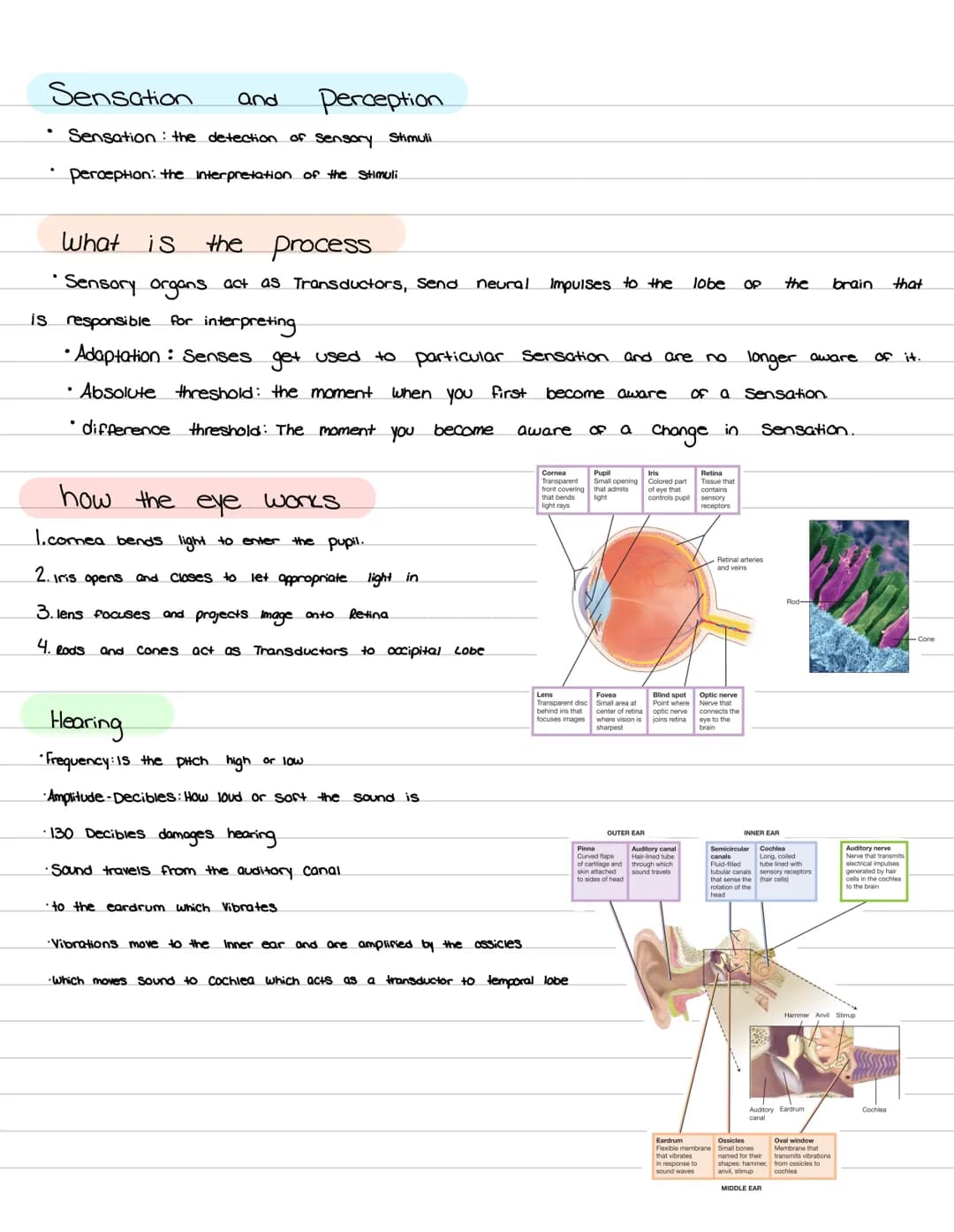 Psychology
Mid-term feel.
is Psychology?
What
the study of how we behave, how
↓
Steps:
1. Description
2. explanation - Why is
3.can we predi