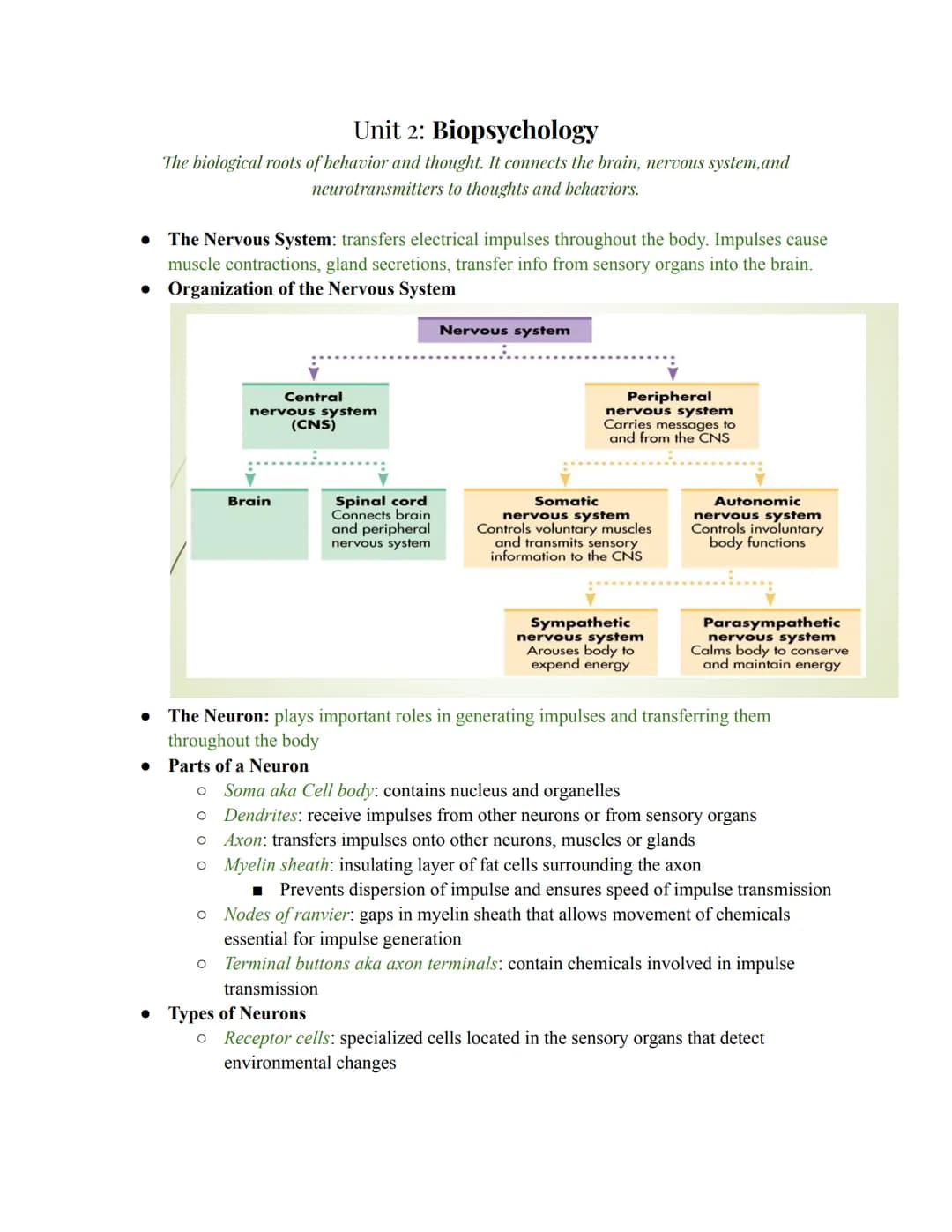 Unit 2: Biopsychology
The biological roots of behavior and thought. It connects the brain, nervous system, and
neurotransmitters to thoughts