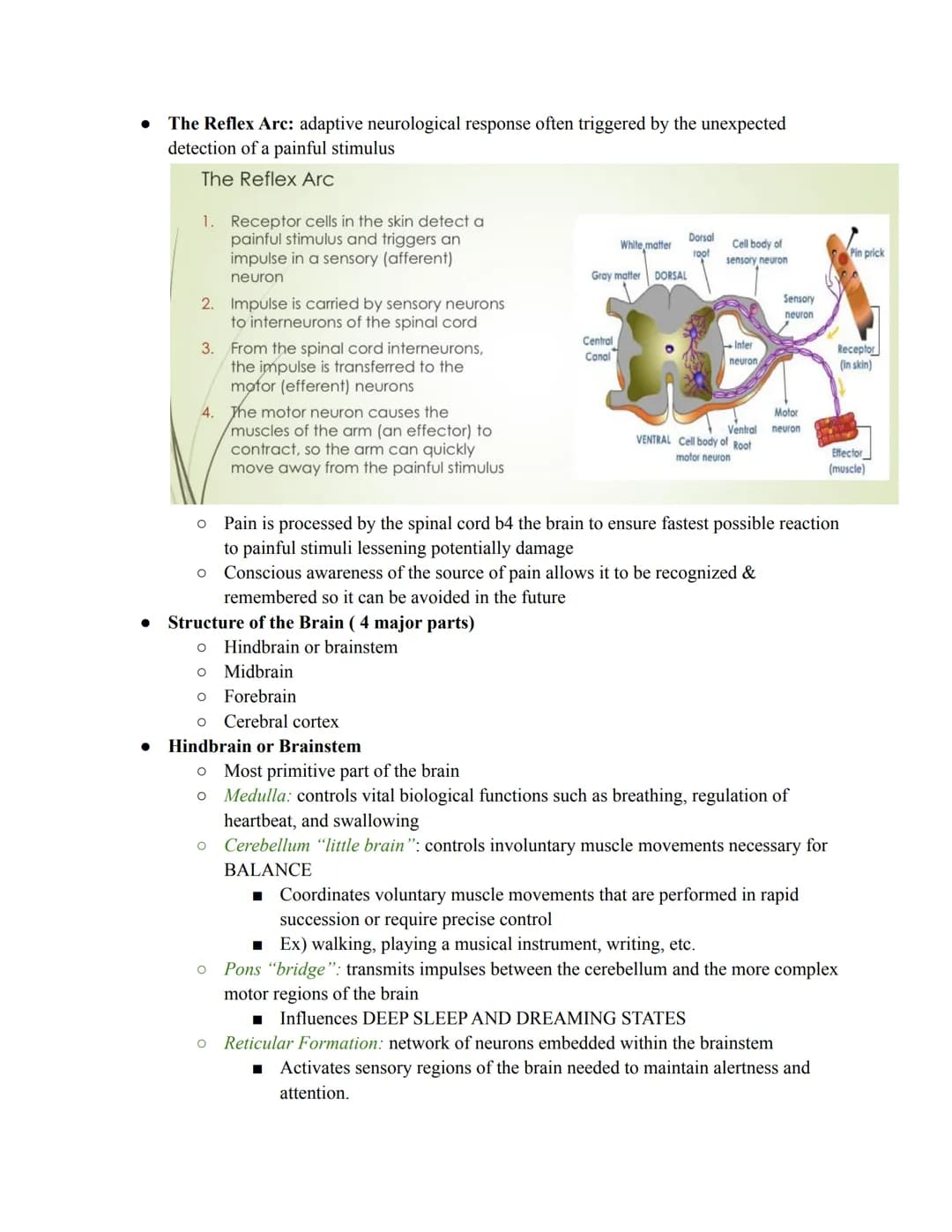 Unit 2: Biopsychology
The biological roots of behavior and thought. It connects the brain, nervous system, and
neurotransmitters to thoughts