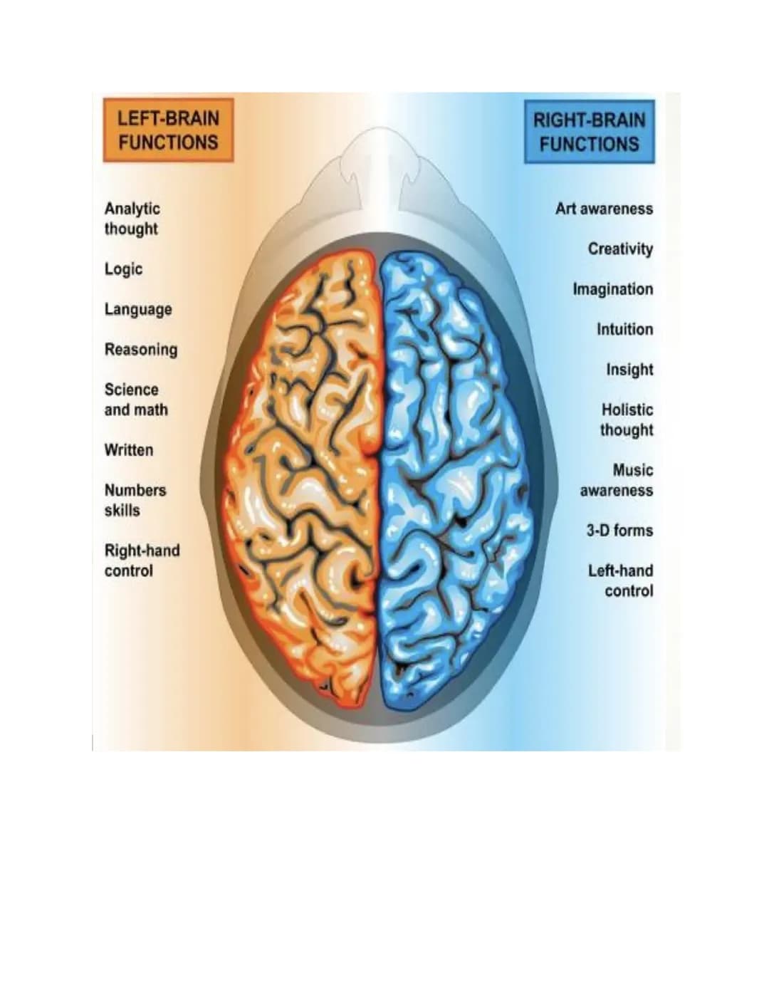 Unit 2: Biopsychology
The biological roots of behavior and thought. It connects the brain, nervous system, and
neurotransmitters to thoughts