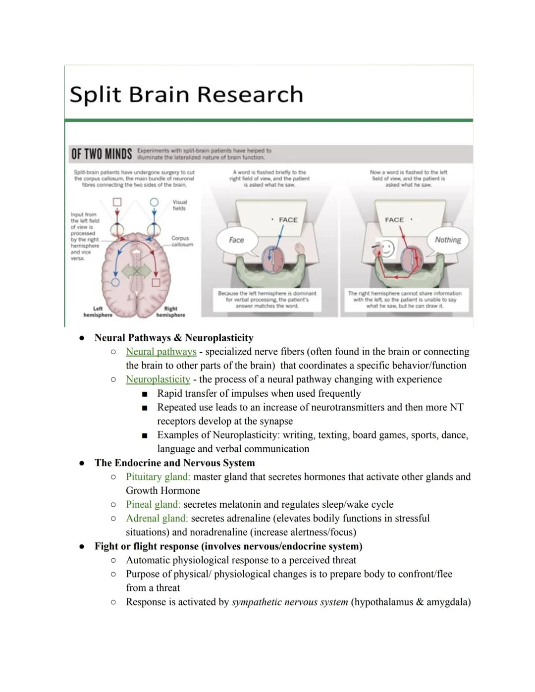 Unit 2: Biopsychology
The biological roots of behavior and thought. It connects the brain, nervous system, and
neurotransmitters to thoughts