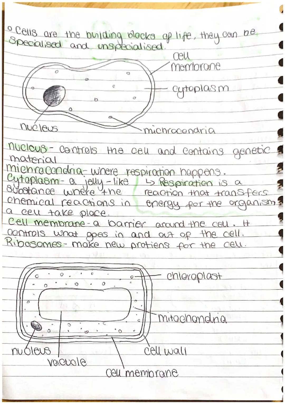 BIOLOGY
。 a microscope is an instrument.
that produces a magnified.
image of objects that are too notes
Small to be seen by the naked
eye.
•