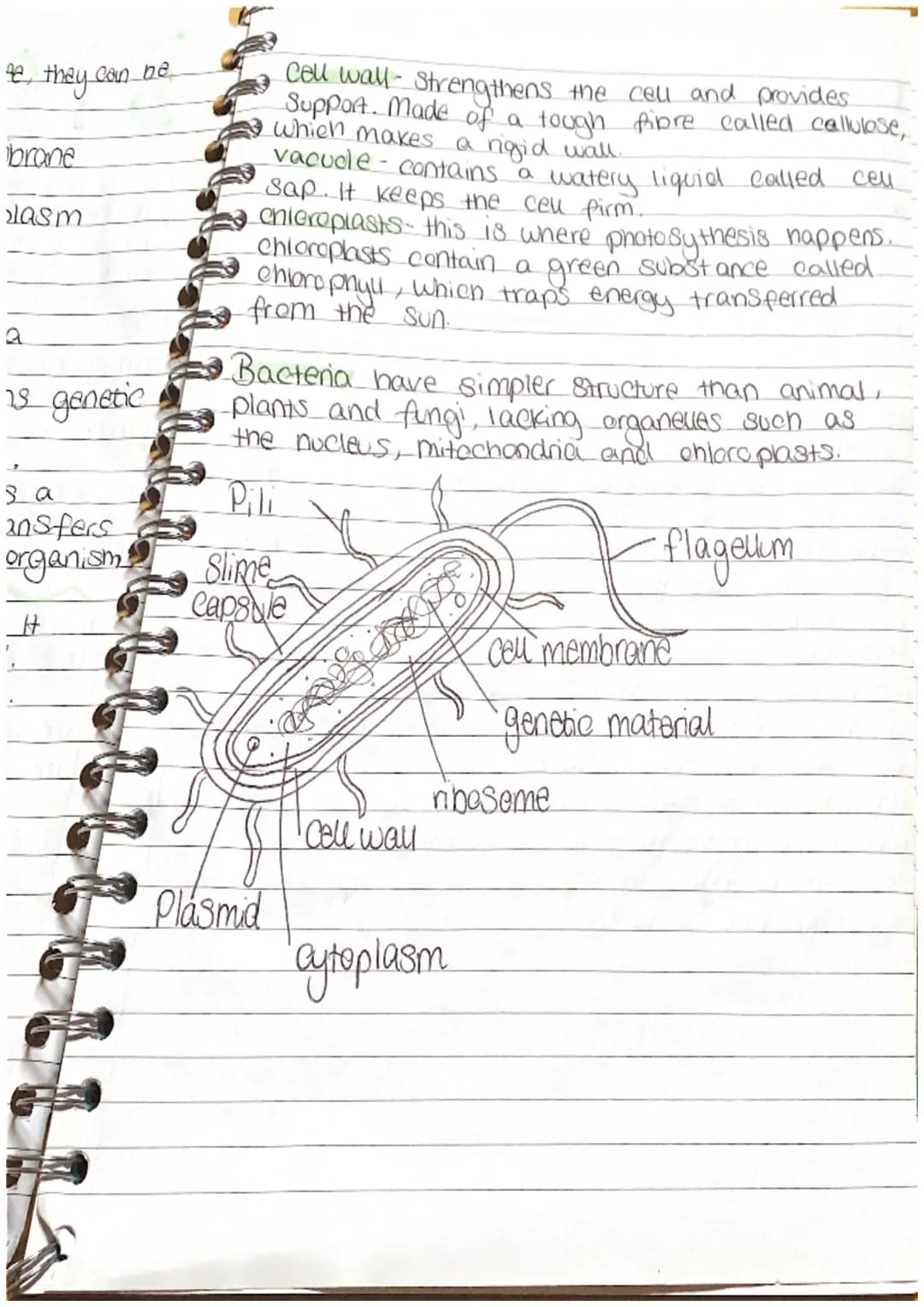 BIOLOGY
。 a microscope is an instrument.
that produces a magnified.
image of objects that are too notes
Small to be seen by the naked
eye.
•