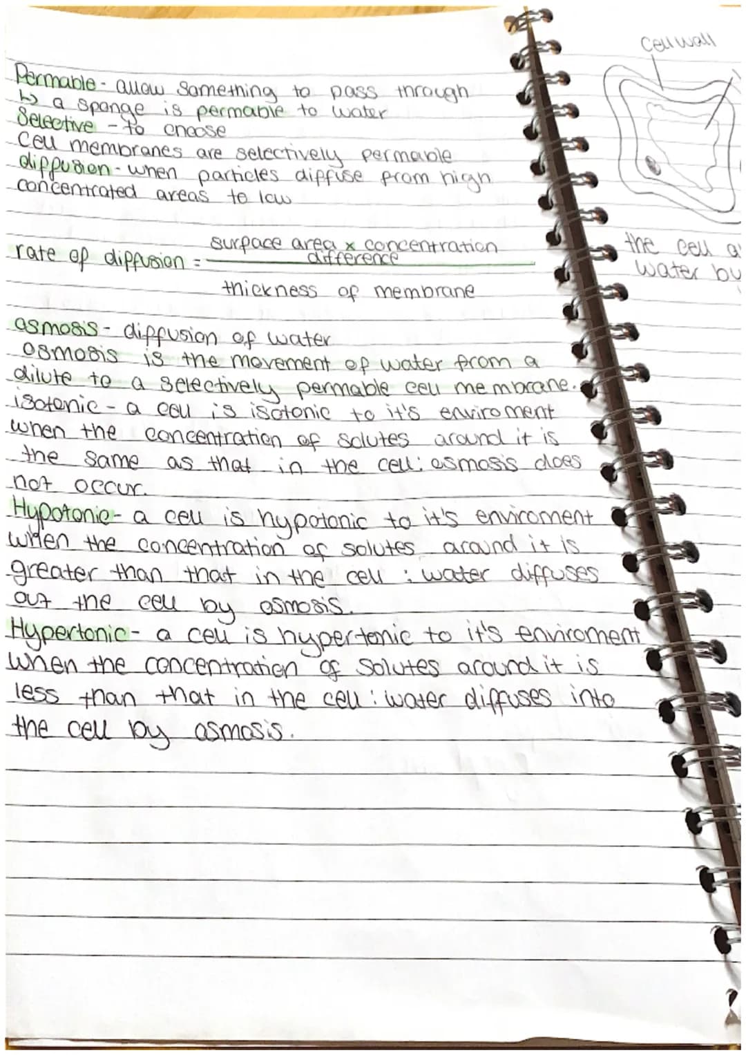 BIOLOGY
。 a microscope is an instrument.
that produces a magnified.
image of objects that are too notes
Small to be seen by the naked
eye.
•