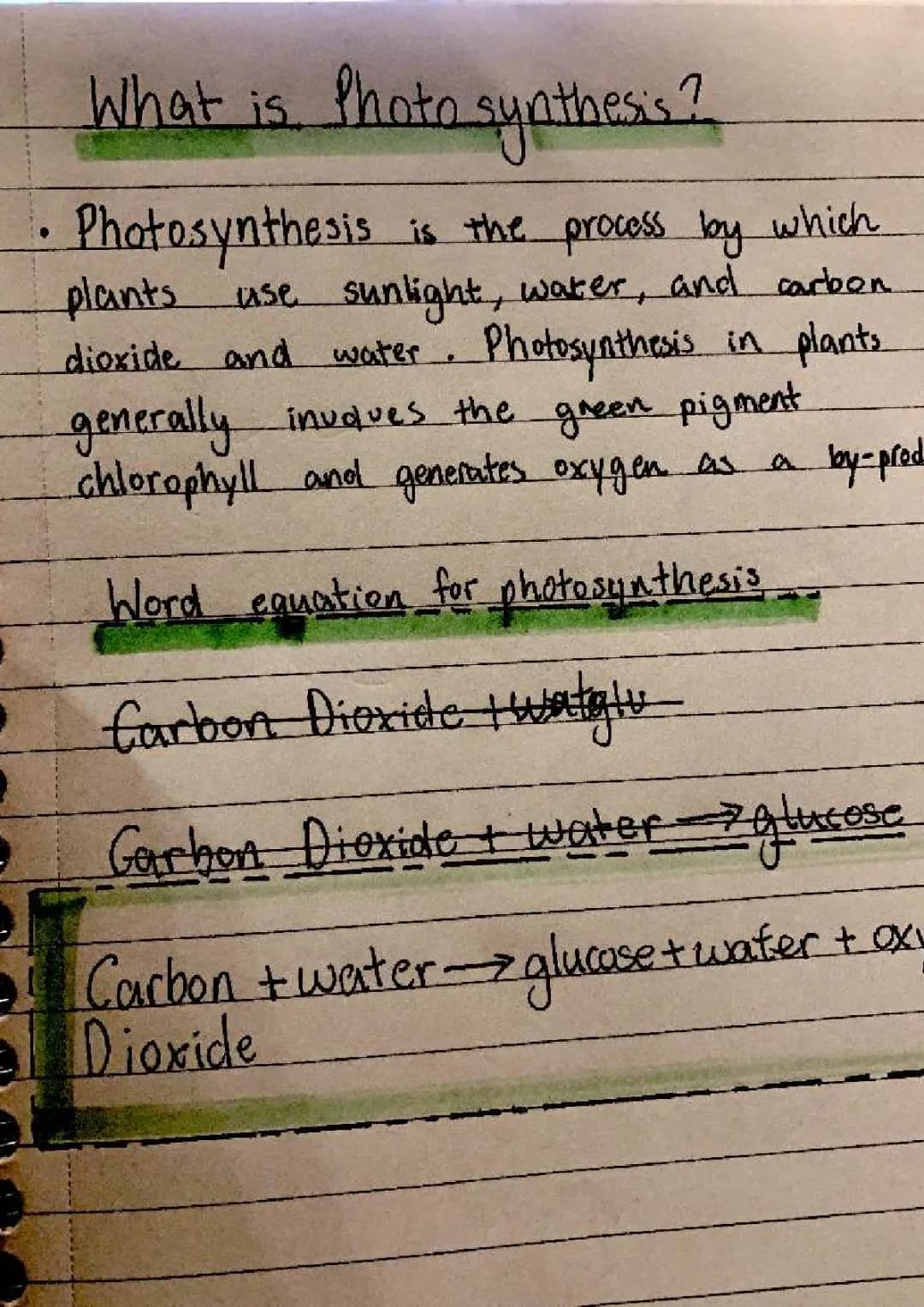 Awesome Guide: How Photosynthesis Works in Plants with Fun Diagrams