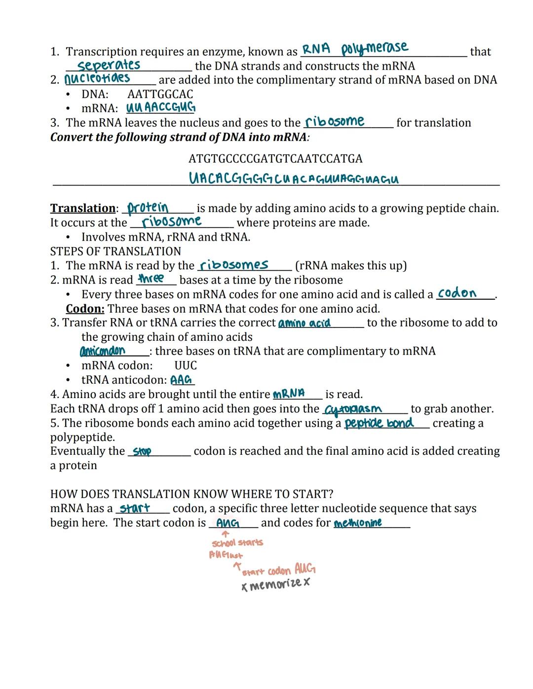 Name mai thy Smith
DNA Compared to RNA
Both DNA and RNA contain a five carbon Sugar
nitrogenous base
Differences in DNA and RNA
RNA
RNA, Tra