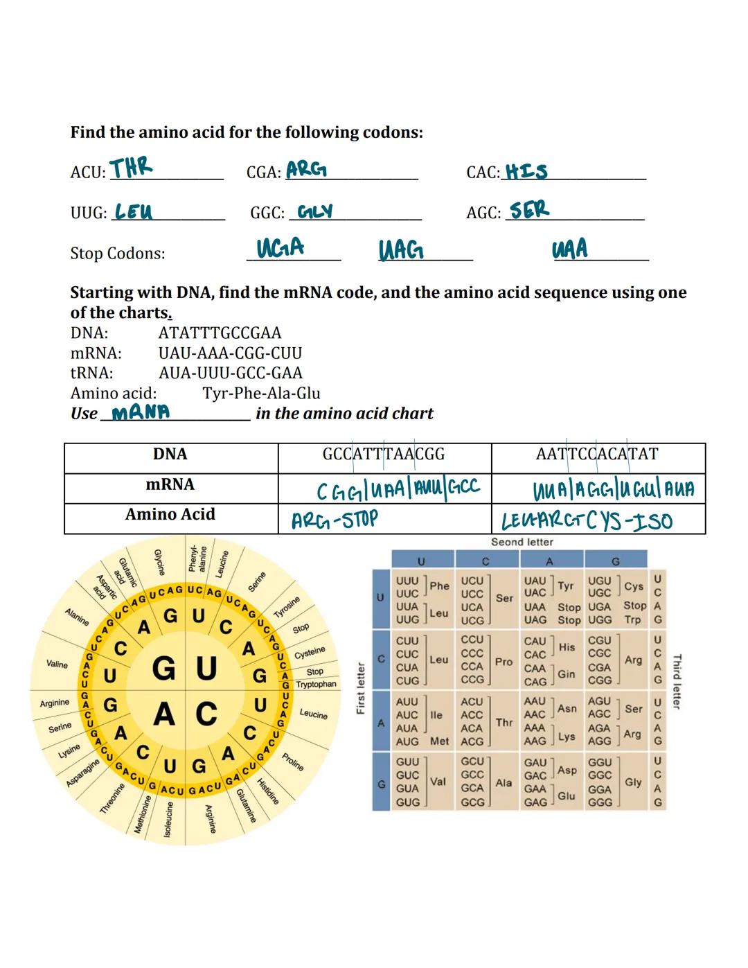 Name mai thy Smith
DNA Compared to RNA
Both DNA and RNA contain a five carbon Sugar
nitrogenous base
Differences in DNA and RNA
RNA
RNA, Tra