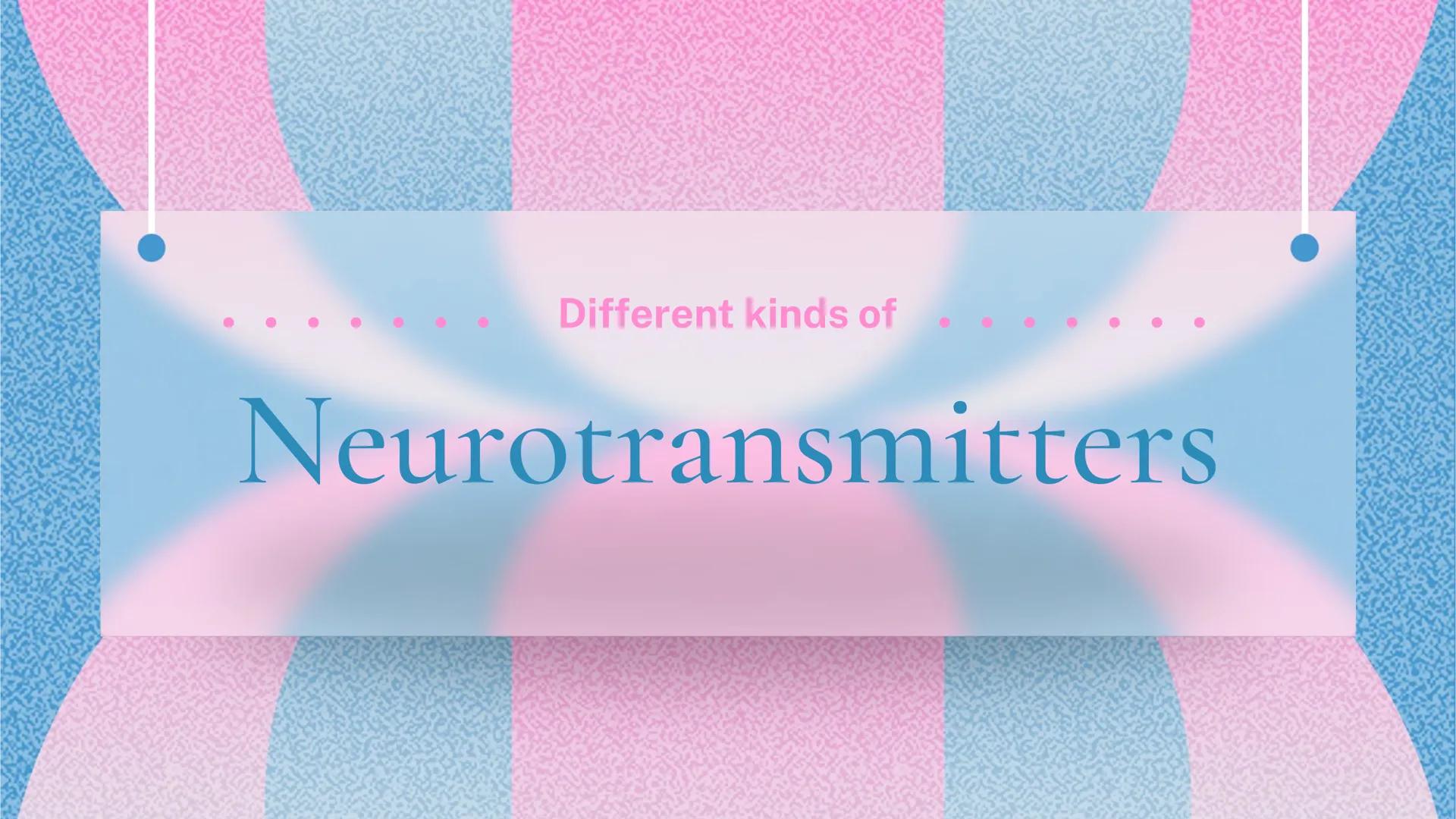 Different kinds of
Neurotransmitters Acetylcholine
• Excitatory
• Functions: muscles, memory,
learning, and attention
• Surplus leads to mus