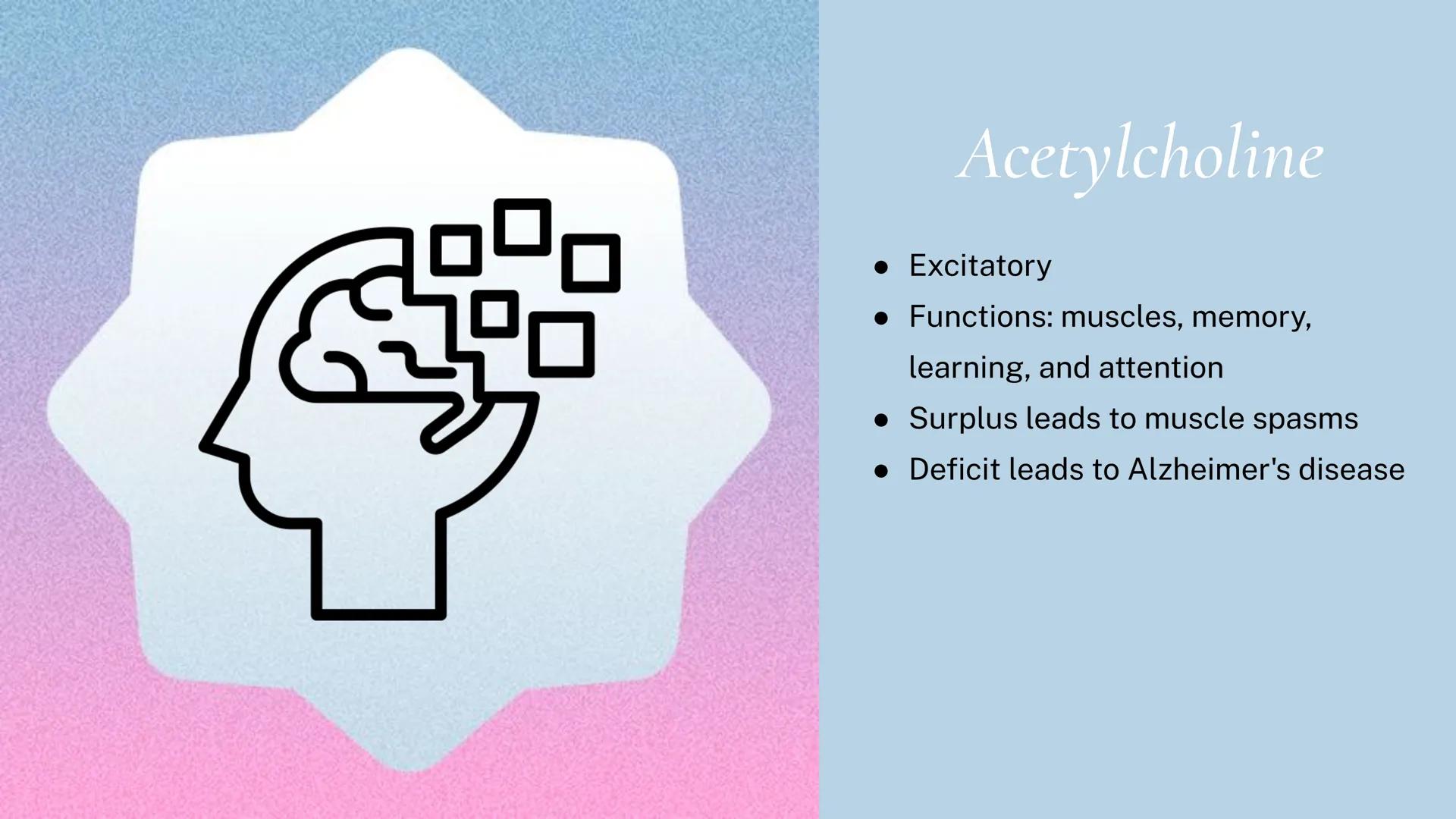 Different kinds of
Neurotransmitters Acetylcholine
• Excitatory
• Functions: muscles, memory,
learning, and attention
• Surplus leads to mus