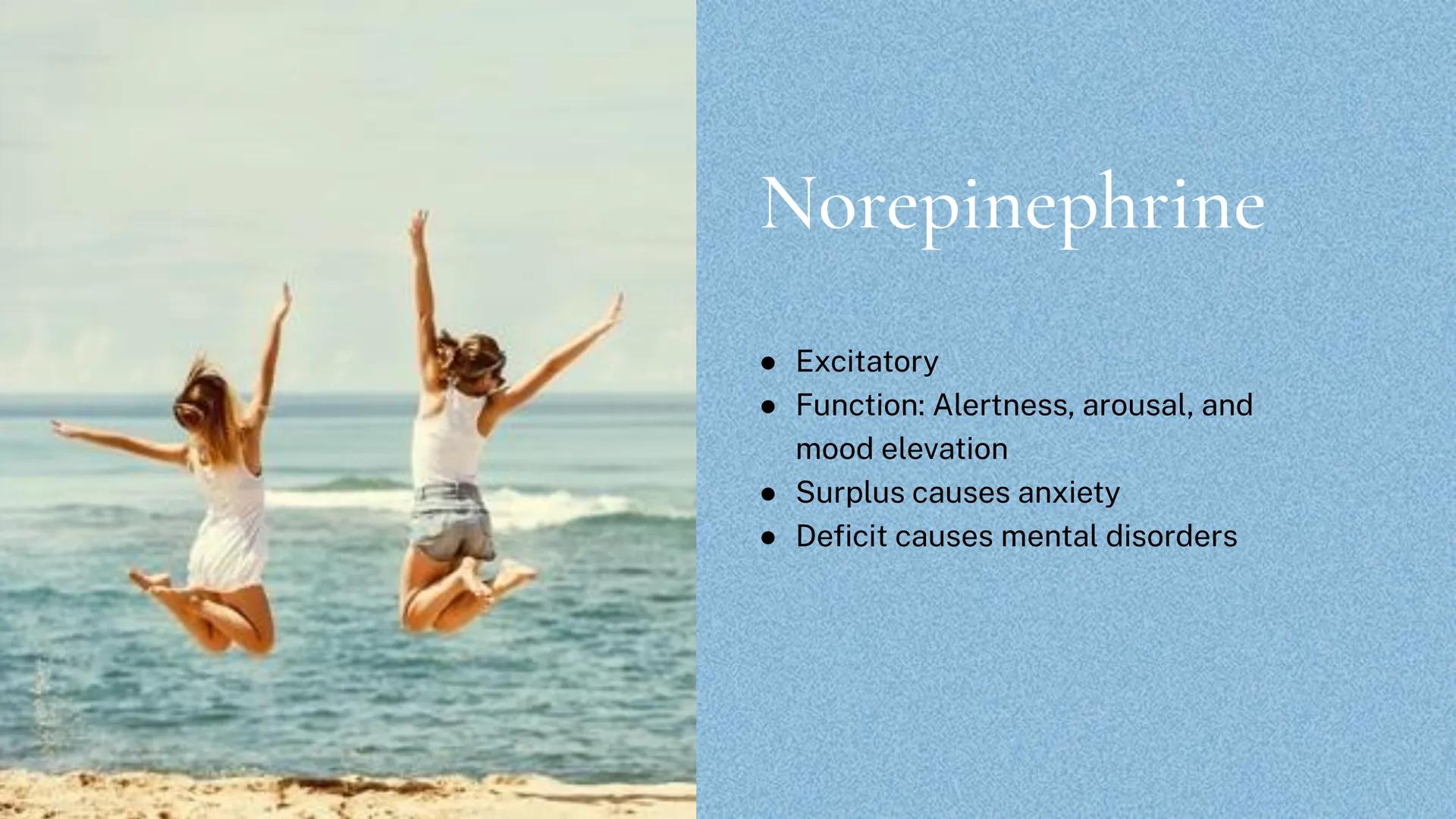 Different kinds of
Neurotransmitters Acetylcholine
• Excitatory
• Functions: muscles, memory,
learning, and attention
• Surplus leads to mus