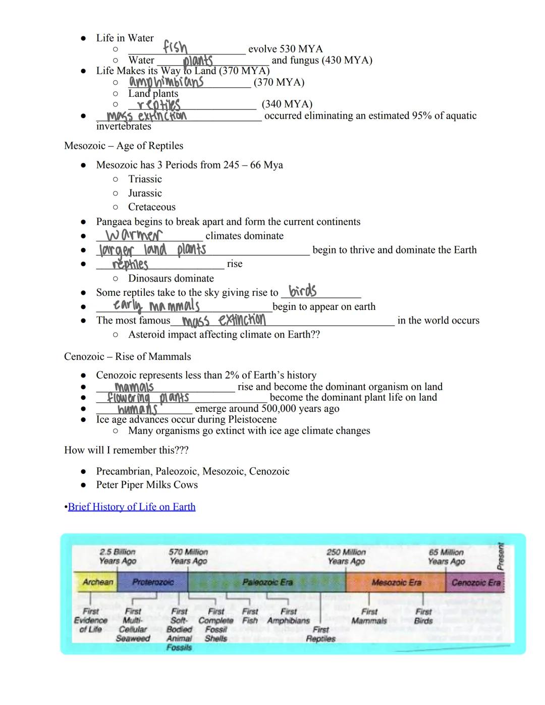 Name: Mai Thy Smith
Brief History of Life on Earth: Fossils, & The Geologic Time Scale
Let's Take a Closer Look
●
●
Precambrian
●
Earth's ag