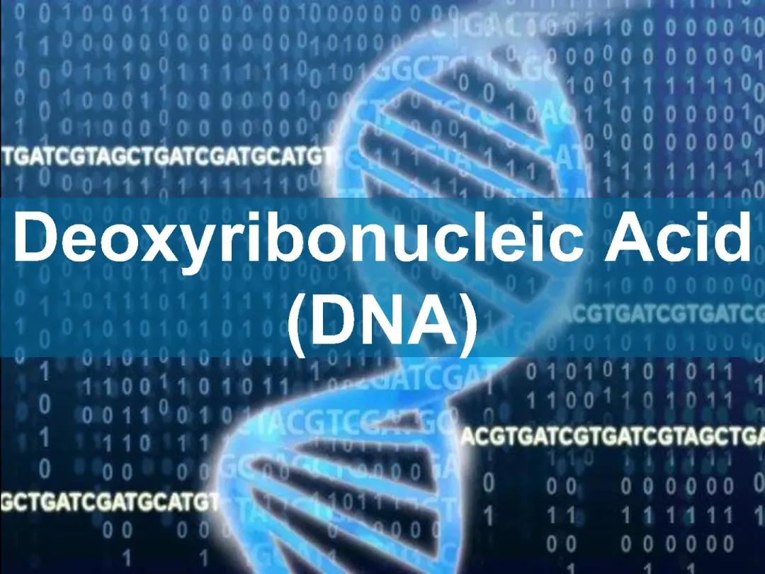 DNA Notes w/ Practice Quiz