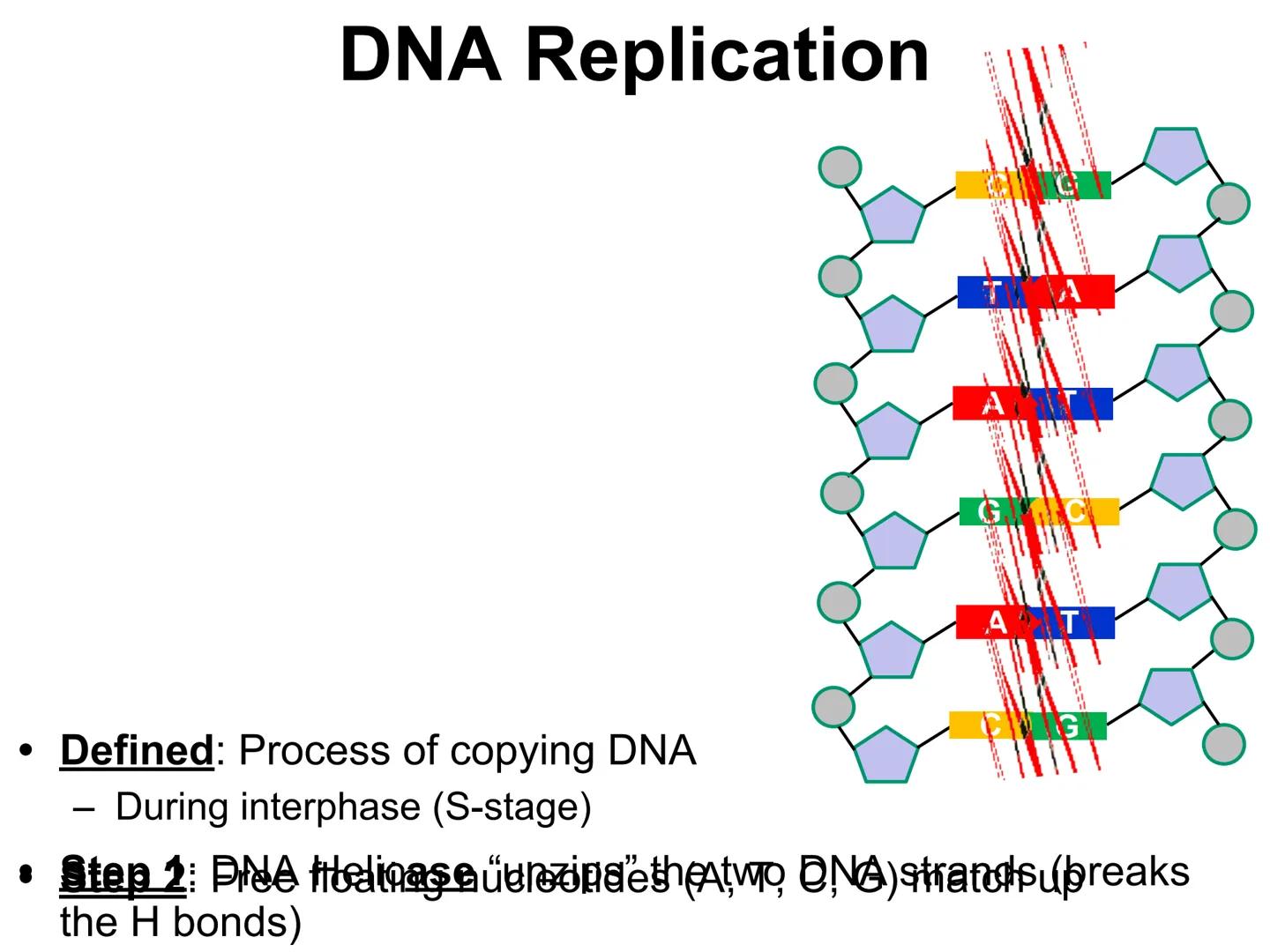 0010
1 1
0
0
0 1000110000001000 R
010000000000076
1
0 0 0 0 0 0 100000000GACTG01100000010
0000000000000101000
01110
0
111111001016GCTC
0
1 1