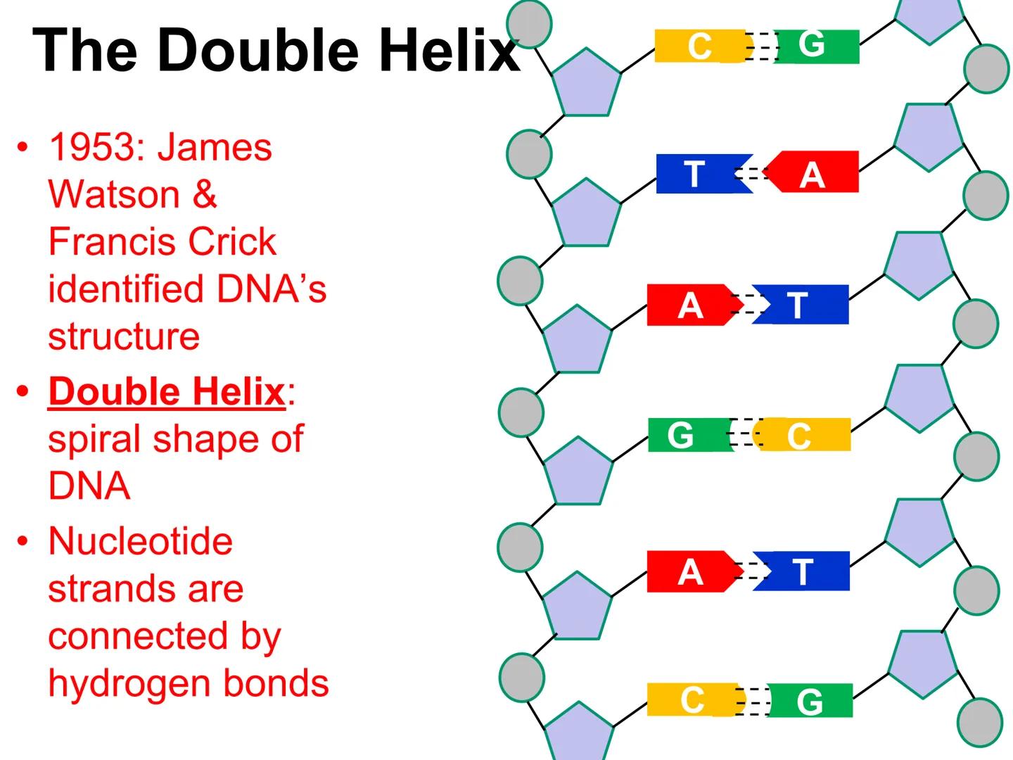 0010
1 1
0
0
0 1000110000001000 R
010000000000076
1
0 0 0 0 0 0 100000000GACTG01100000010
0000000000000101000
01110
0
111111001016GCTC
0
1 1