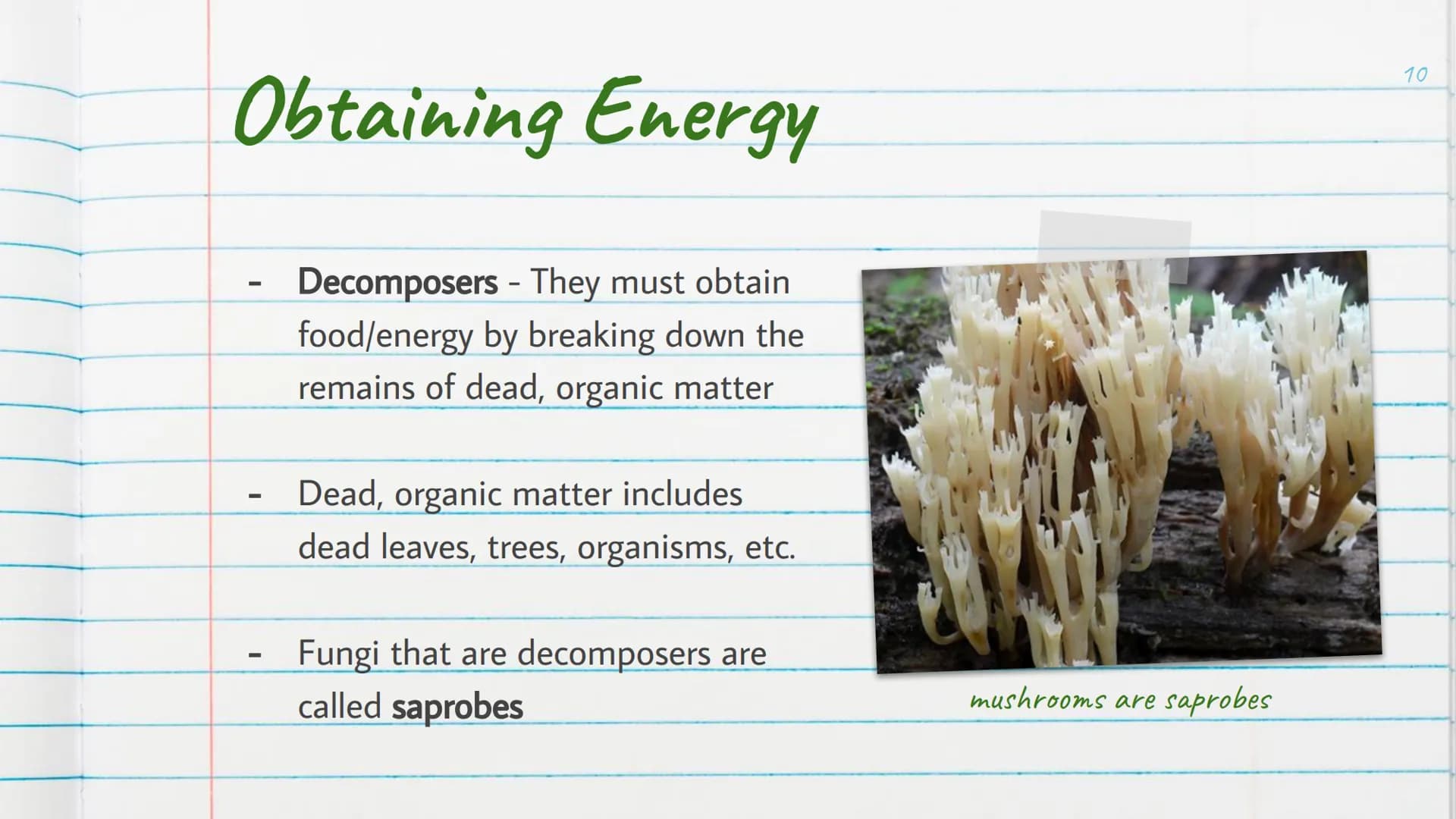 Kingdom
Fungi
is Introduction to Kingdom Fungi
-
Found living in all sorts of
environments:
Land
Air
-
Water
Even growing in/on plants
and a