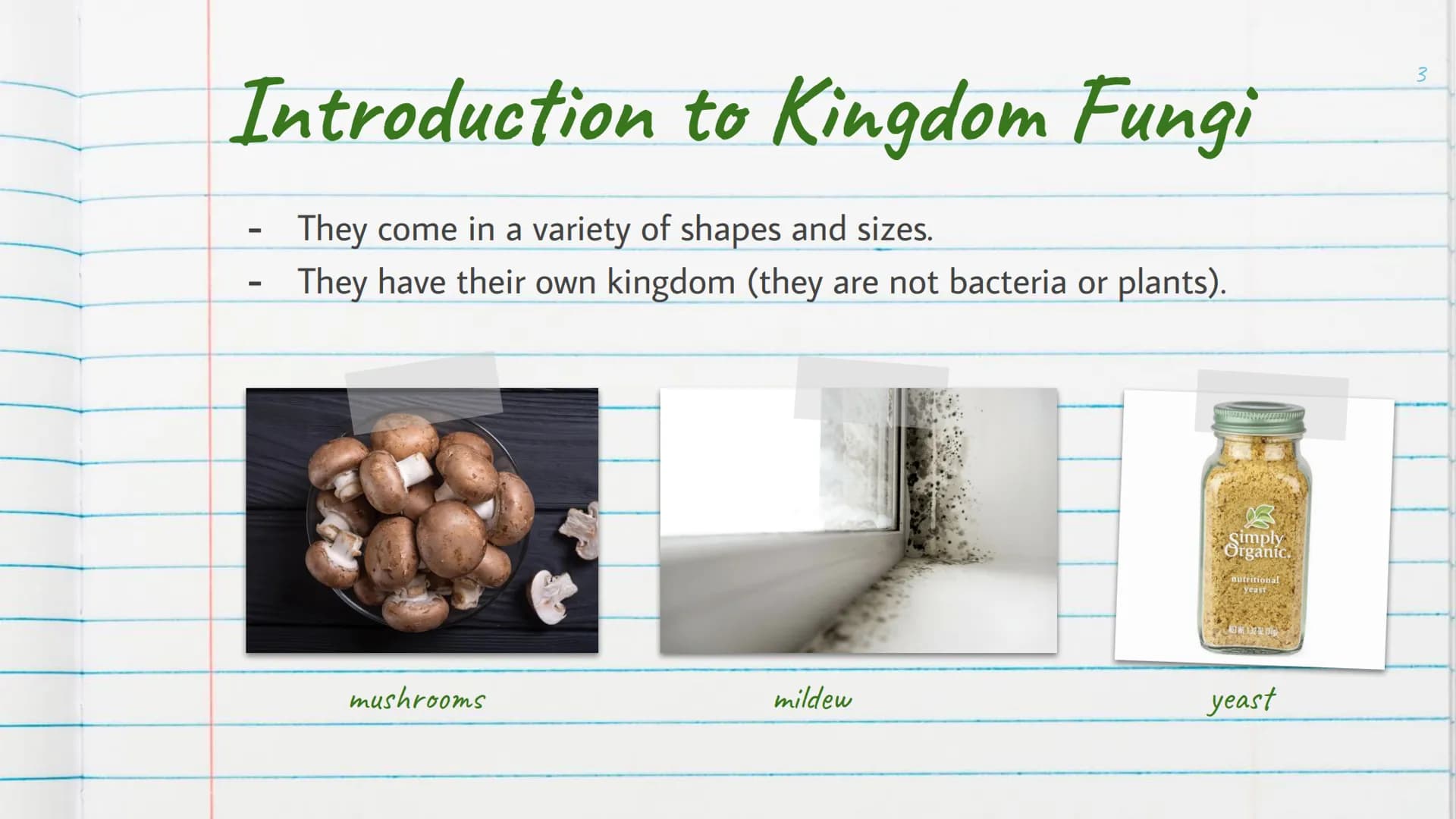 Kingdom
Fungi
is Introduction to Kingdom Fungi
-
Found living in all sorts of
environments:
Land
Air
-
Water
Even growing in/on plants
and a