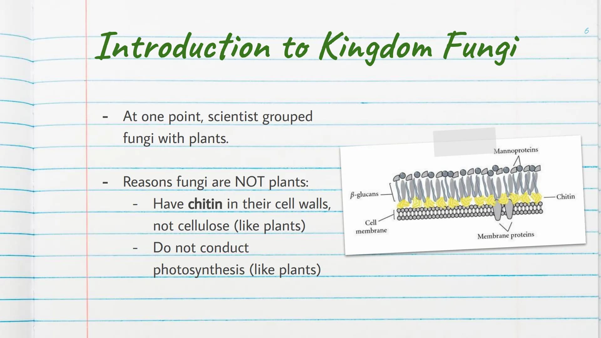 Kingdom
Fungi
is Introduction to Kingdom Fungi
-
Found living in all sorts of
environments:
Land
Air
-
Water
Even growing in/on plants
and a