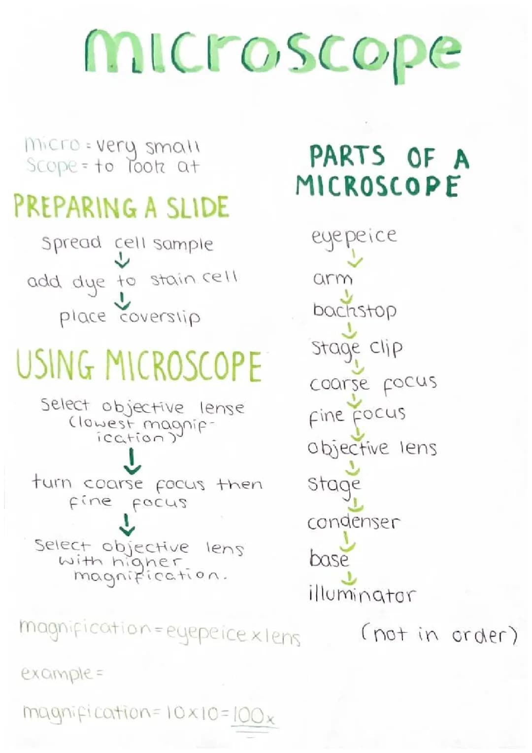 Step-by-Step Guide: Using a Microscope for Beginners and Kids
