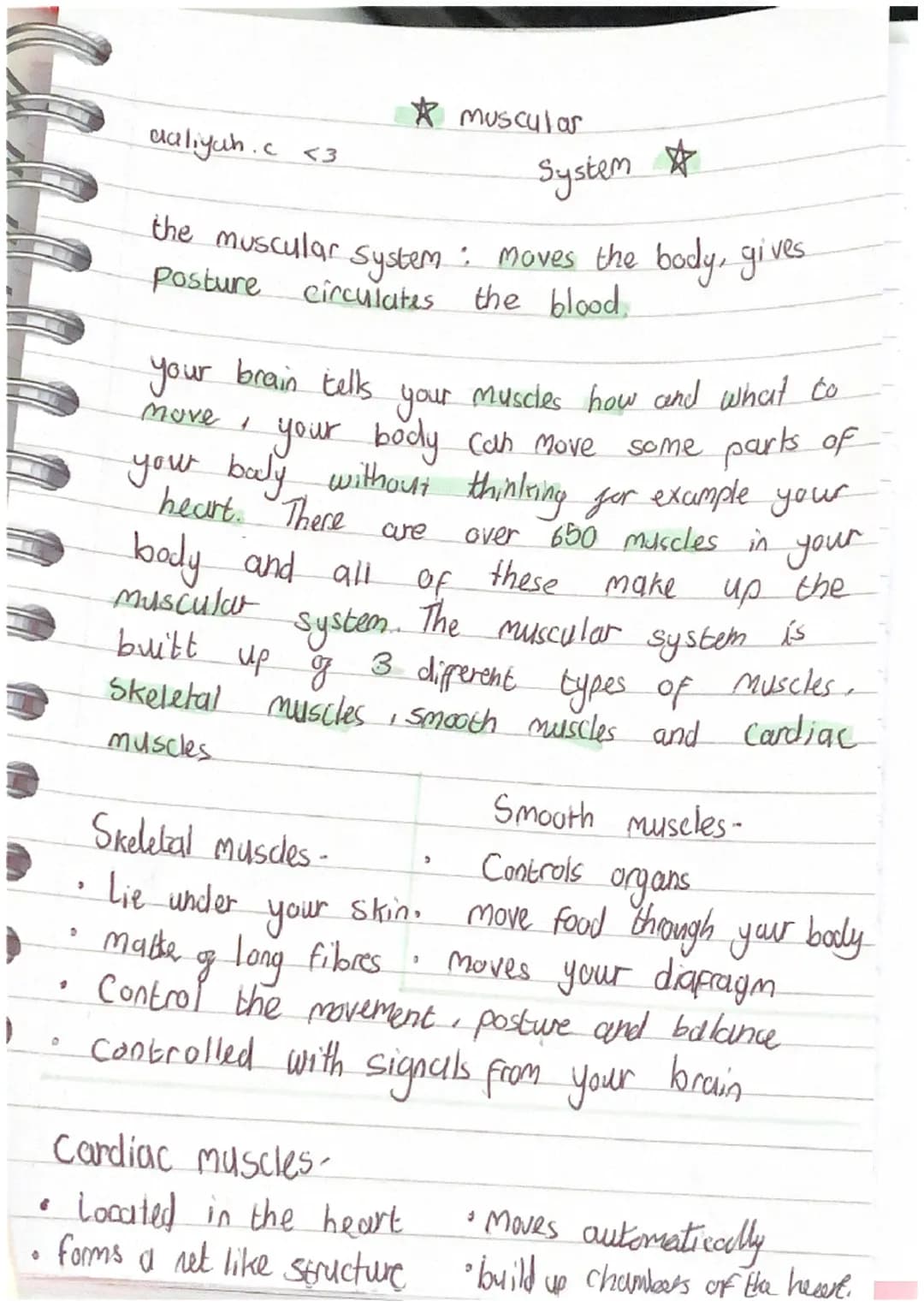 •
"
O
>
0
daliyah. c <3
System
the muscular system : moves the body, gives
posture circulates the blood.
your brain tells your muscles how a