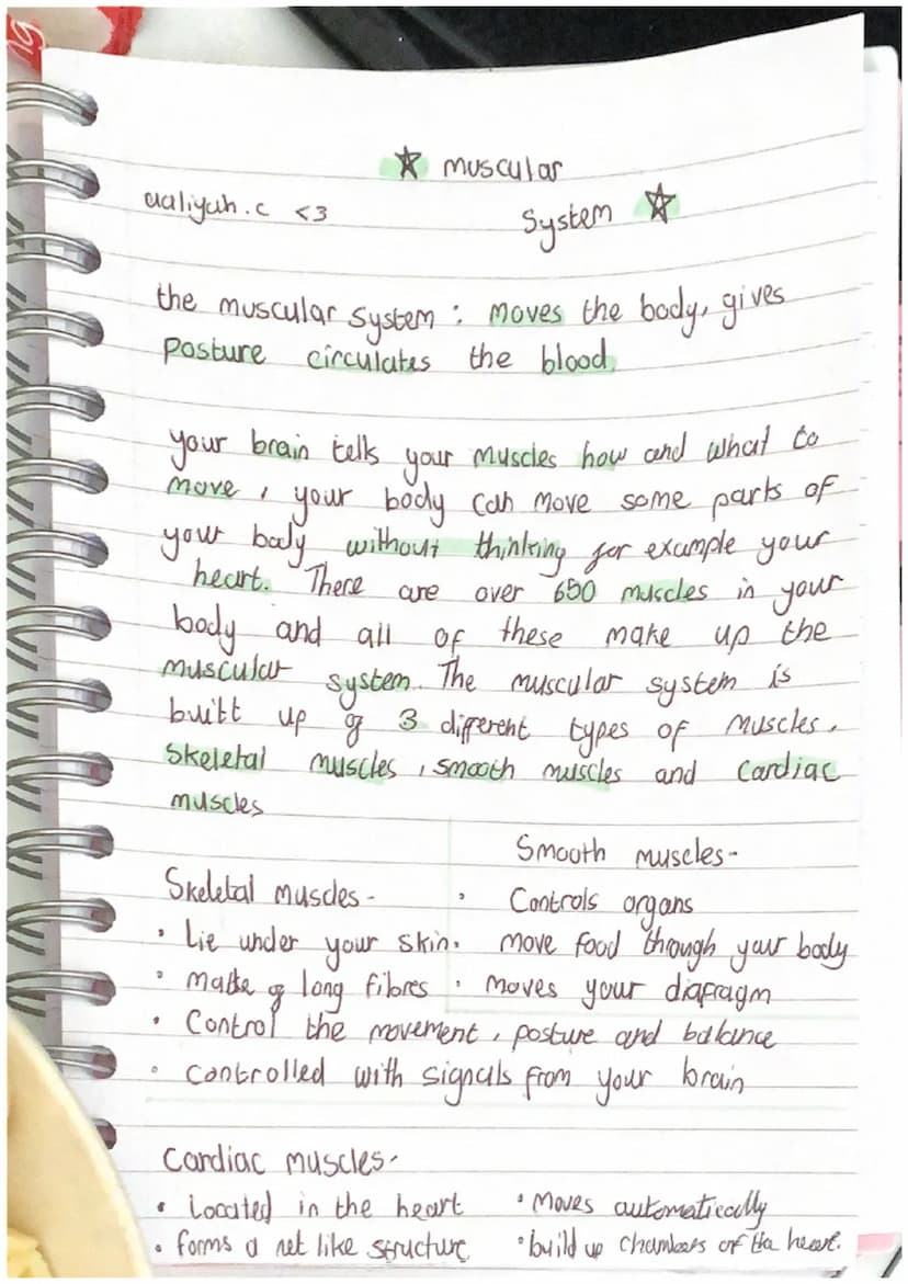•
"
O
>
0
daliyah. c <3
System
the muscular system : moves the body, gives
posture circulates the blood.
your brain tells your muscles how a