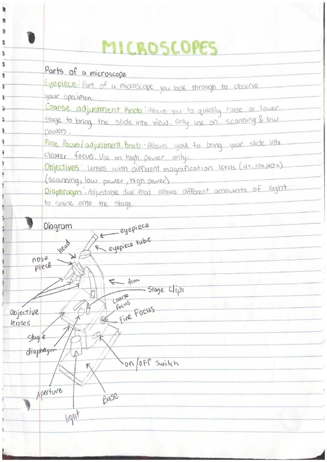 3
D
S
MICROSCOPES
Parts of a microscope
Eyepiece: Part of a microscope you look through to observe
your specimen.
Coarse adjustment Knob : A