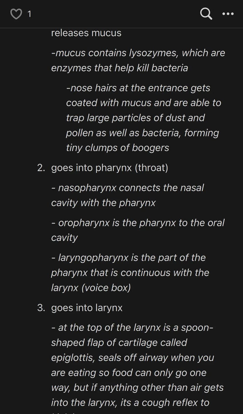 1
Q.
Anatomy & Physiology V1 / 3
Chapter 1: Introduction to the Human Body
1.1 | Overview of Anatomy and Physiology
Anatomy = structure
Huma