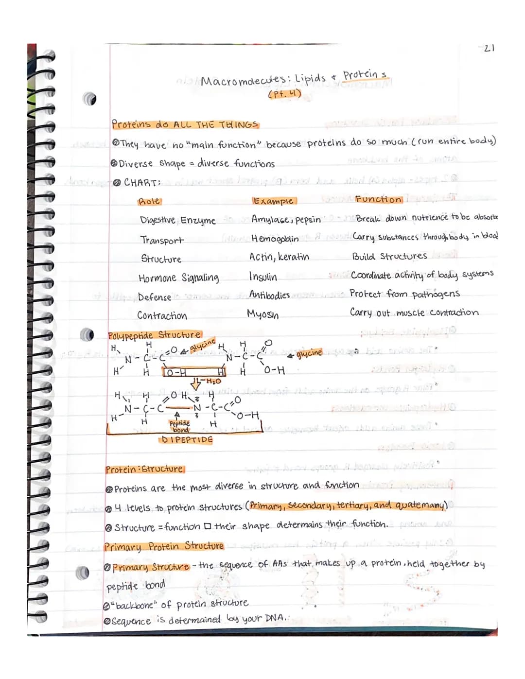 
<p>Lipids are organic compounds that contain carbon, hydrogen, and oxygen, with minimal amounts of oxygen. They are made up of fatty acids 