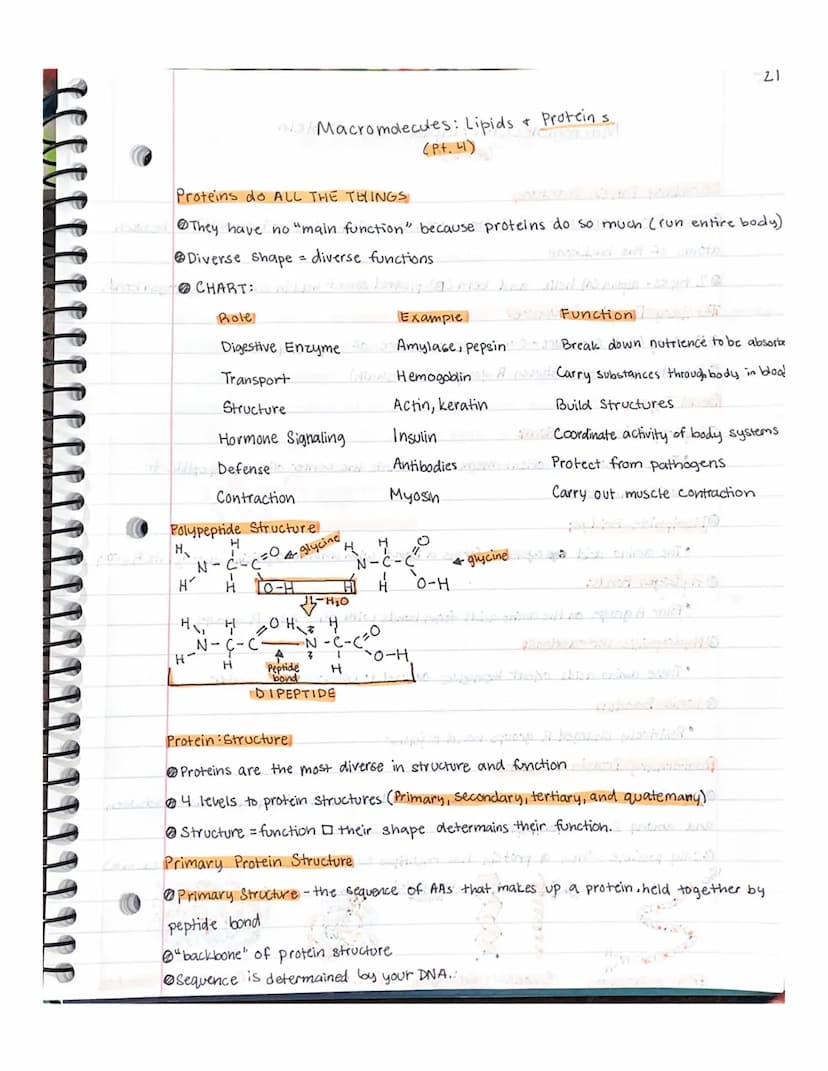 
<p>Lipids are organic compounds that contain carbon, hydrogen, and oxygen, with minimal amounts of oxygen. They are made up of fatty acids 