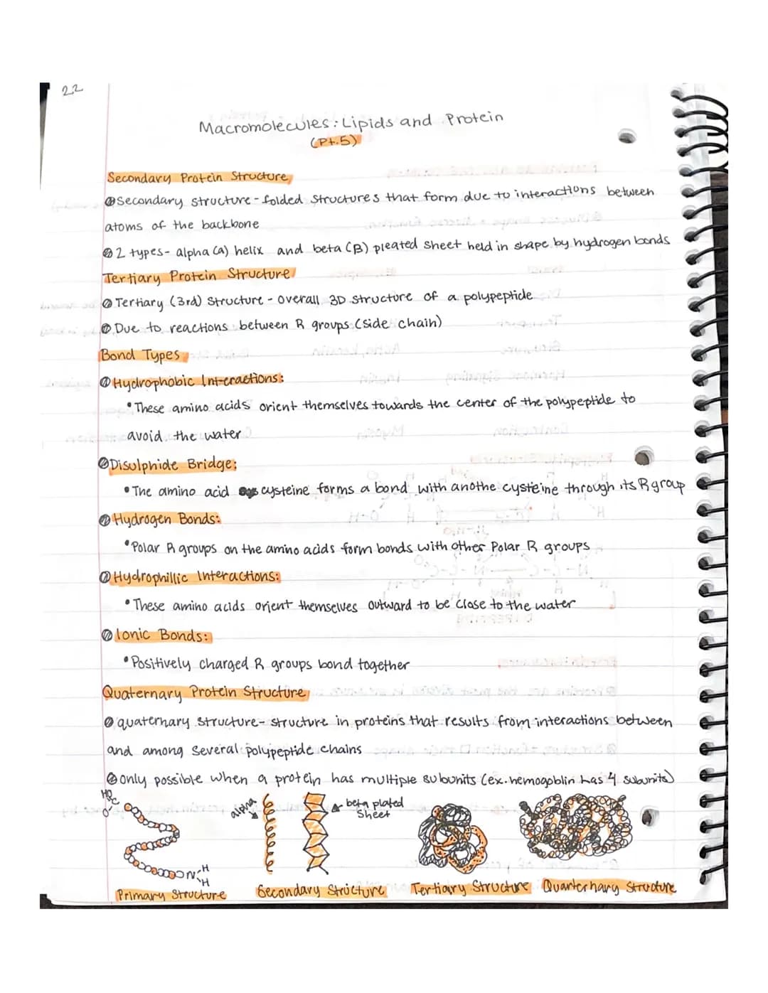 
<p>Lipids are organic compounds that contain carbon, hydrogen, and oxygen, with minimal amounts of oxygen. They are made up of fatty acids 