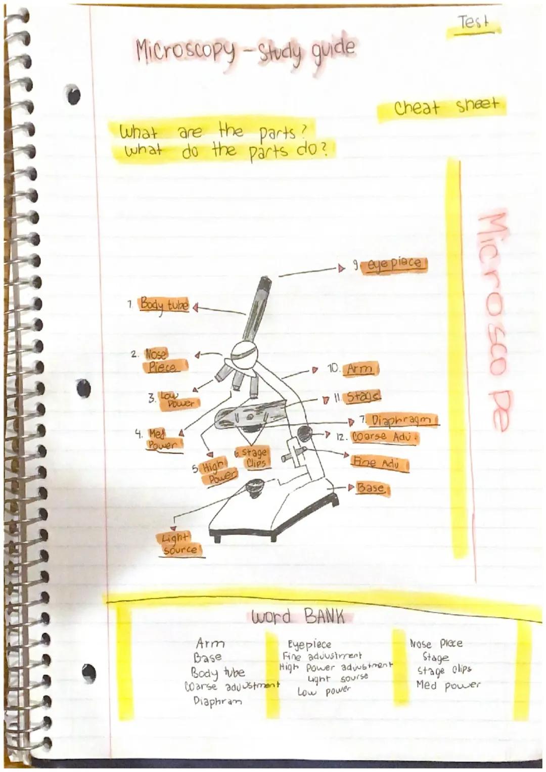 Understanding Microscope Parts
