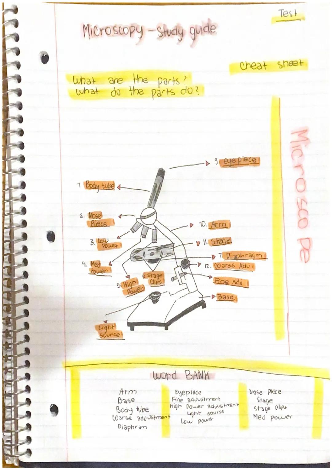Microscopy - Study guide
What are the parts?
what do the parts do?
1. Body tube 4
2. Nose
Piece
3. Low
Power
4. Med
Power
5. High
Light
Sour